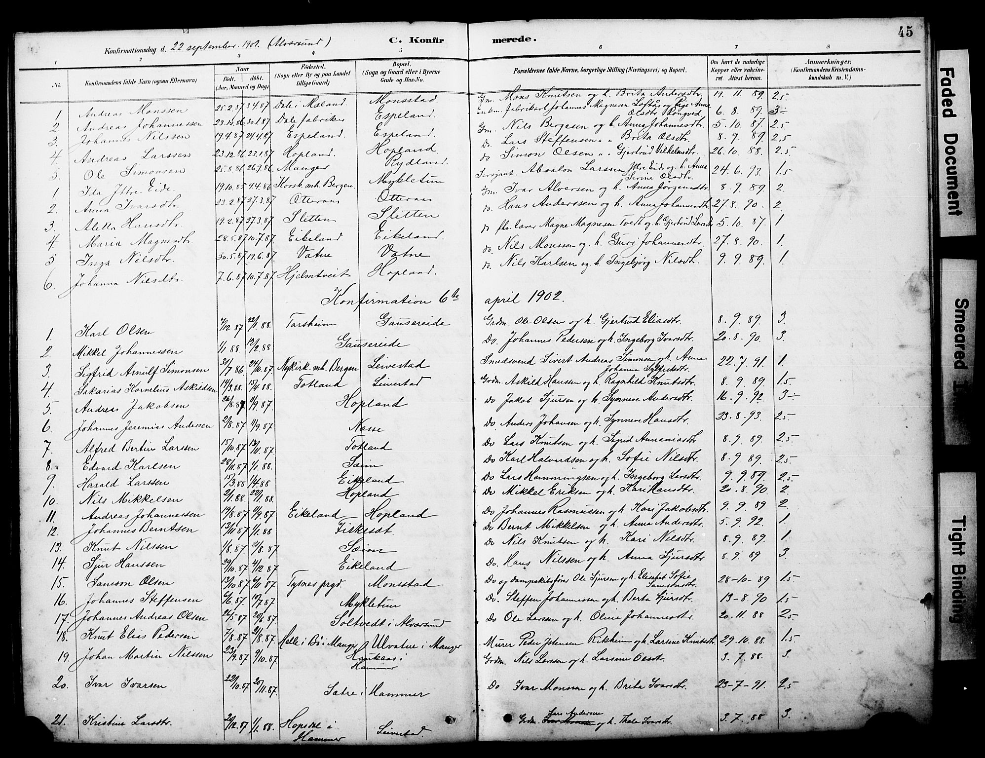 Alversund Sokneprestembete, SAB/A-73901/H/Ha/Hab: Parish register (copy) no. D 3, 1890-1908, p. 45