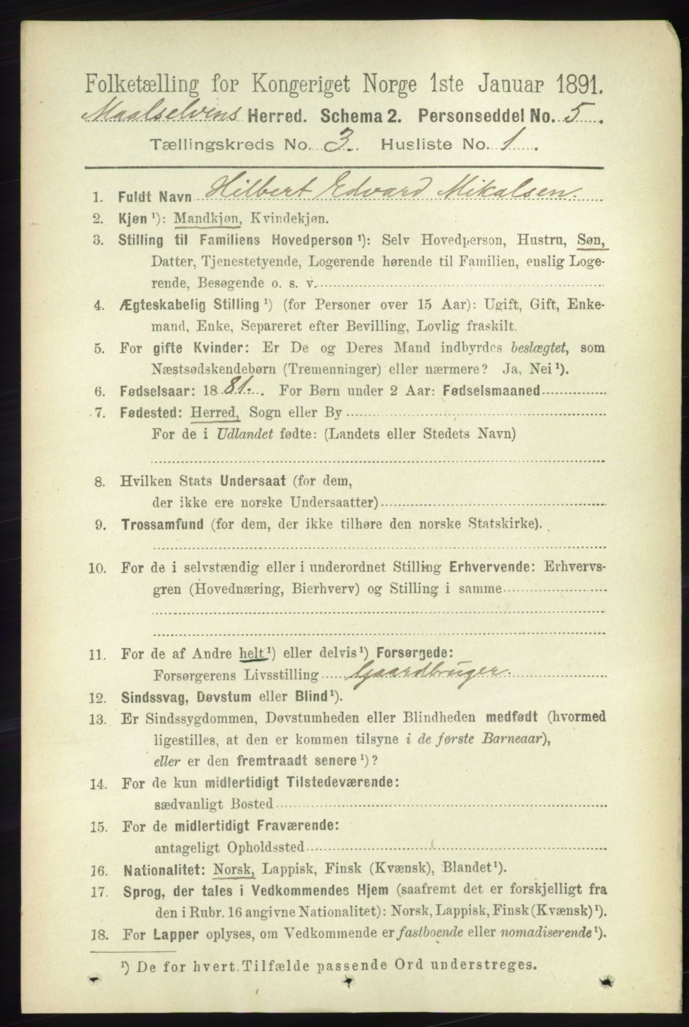RA, 1891 census for 1924 Målselv, 1891, p. 594