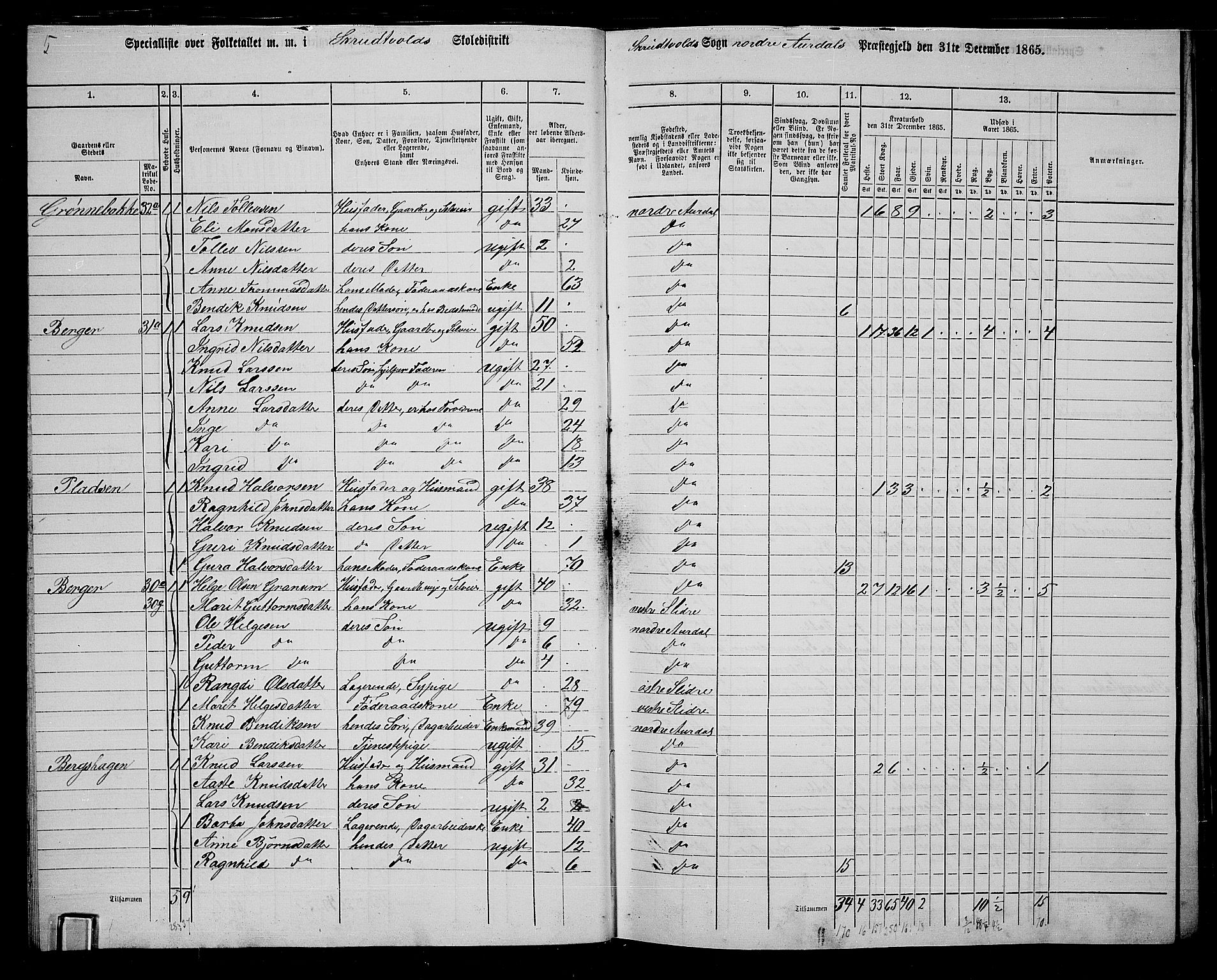 RA, 1865 census for Nord-Aurdal, 1865, p. 30