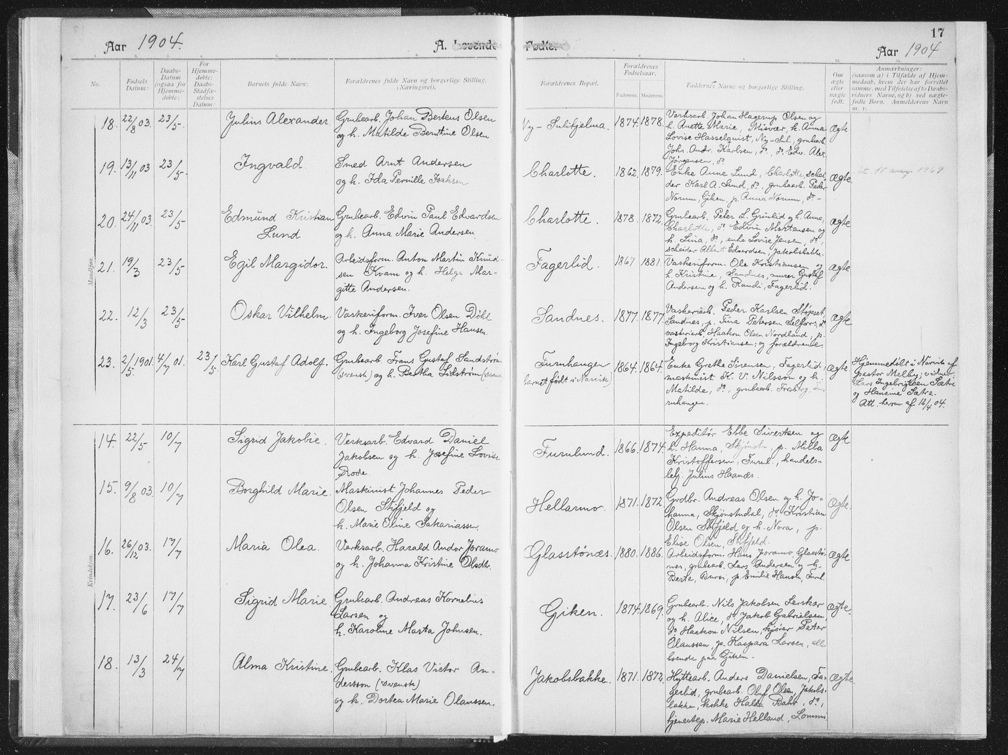 Ministerialprotokoller, klokkerbøker og fødselsregistre - Nordland, AV/SAT-A-1459/850/L0711: Curate's parish register no. 850B01, 1902-1915, p. 17