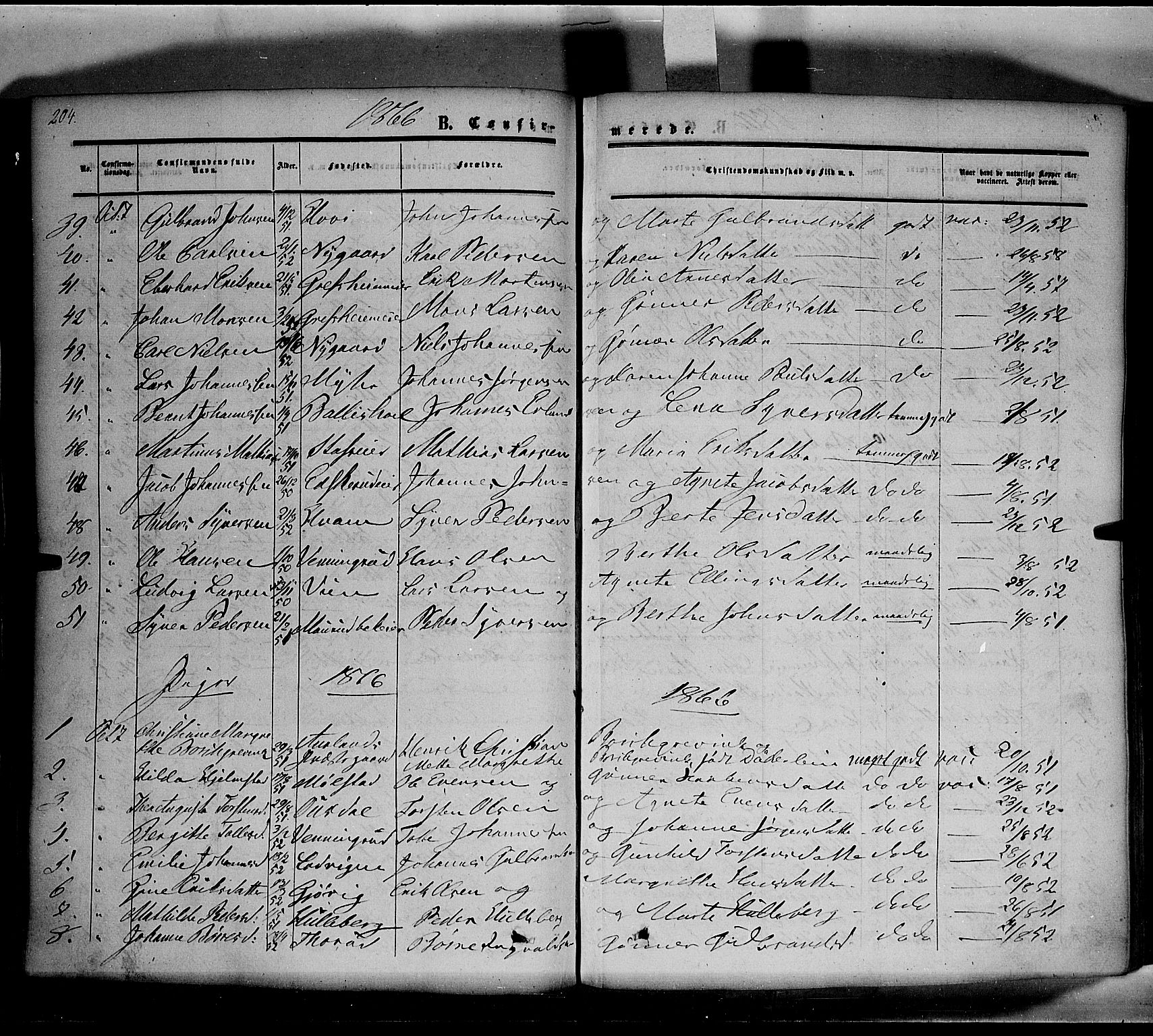 Nes prestekontor, Hedmark, SAH/PREST-020/K/Ka/L0004: Parish register (official) no. 4, 1852-1886, p. 204
