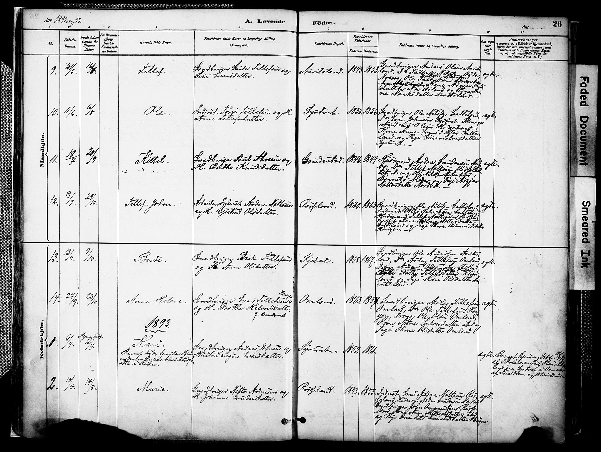 Evje sokneprestkontor, AV/SAK-1111-0008/F/Fa/Faa/L0007: Parish register (official) no. A 7, 1884-1909, p. 26