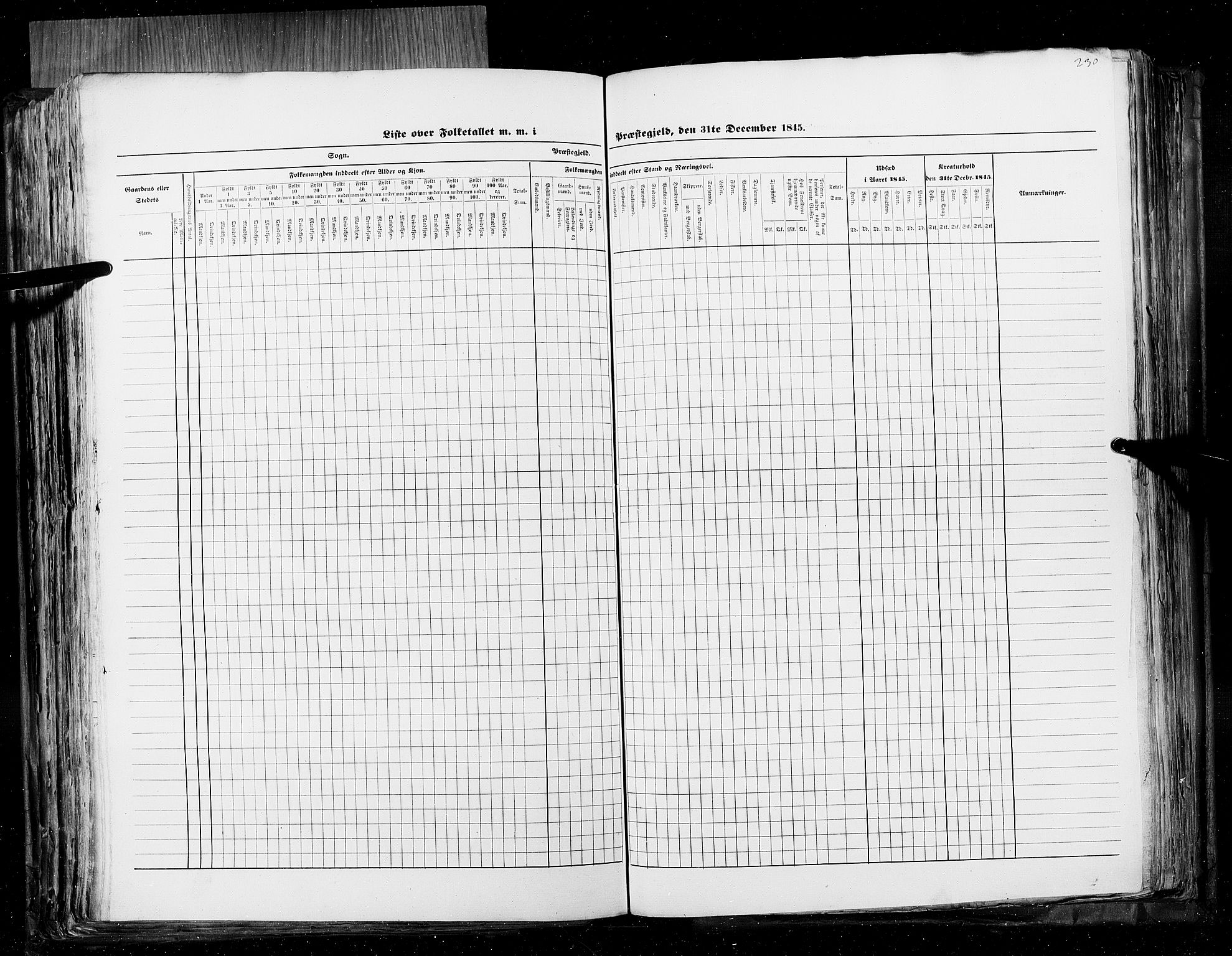 RA, Census 1845, vol. 5: Bratsberg amt og Nedenes og Råbyggelaget amt, 1845, p. 230