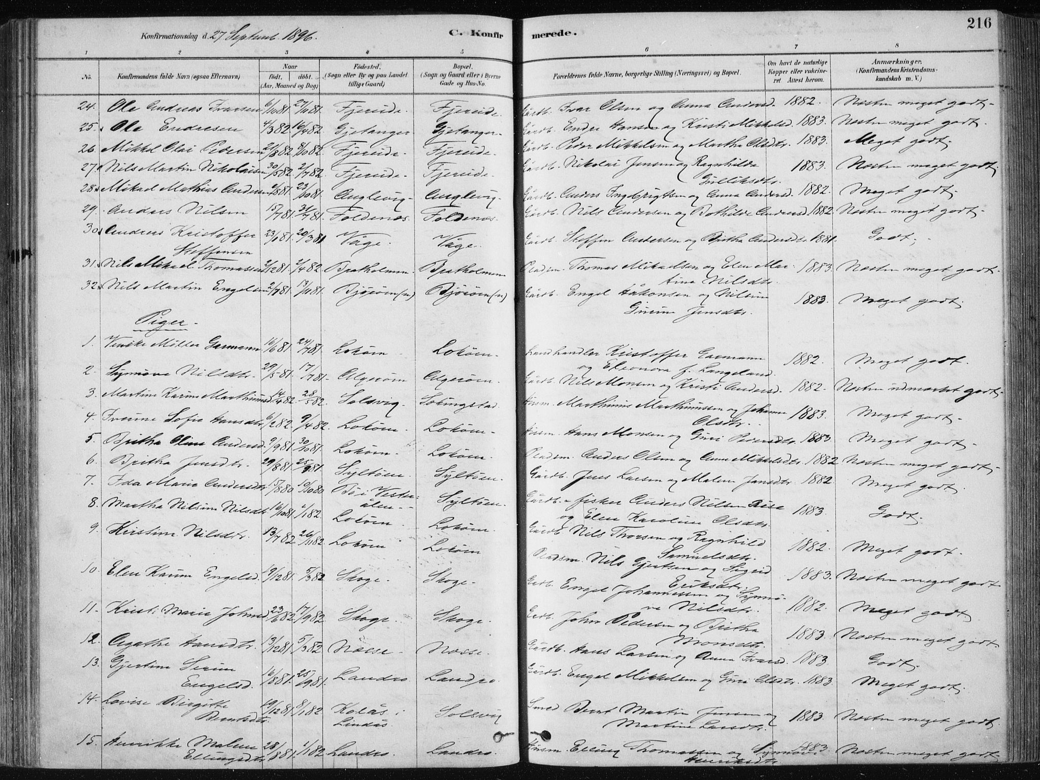 Fjell sokneprestembete, SAB/A-75301/H/Haa: Parish register (official) no. A  8, 1878-1898, p. 216