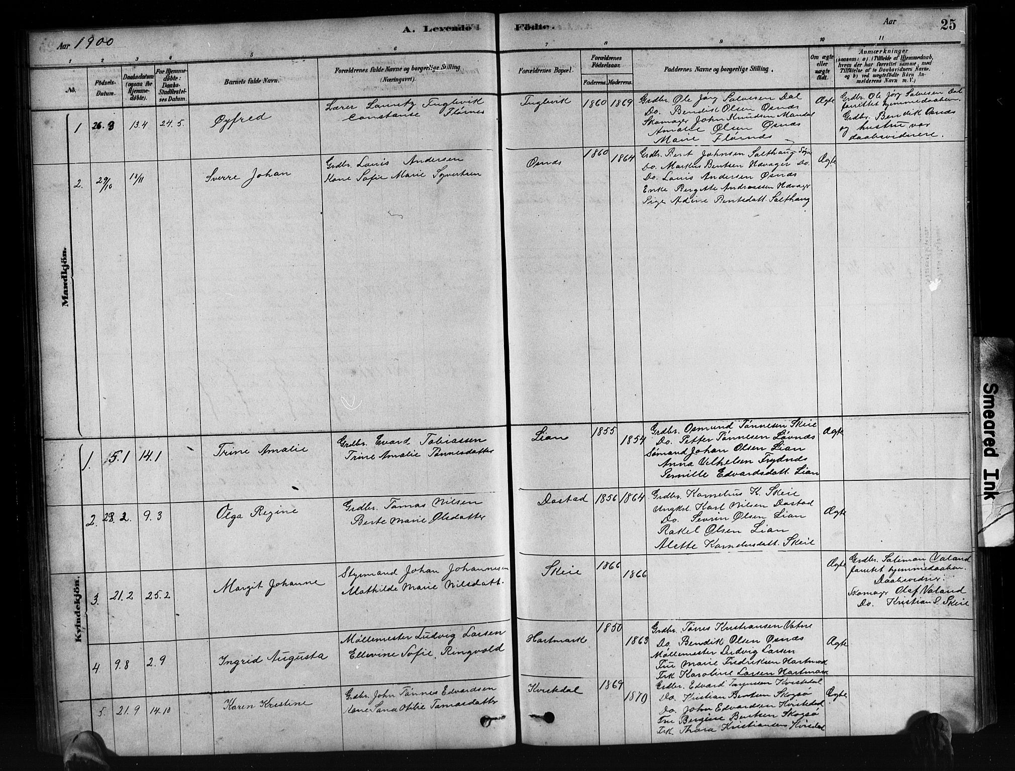 Mandal sokneprestkontor, SAK/1111-0030/F/Fb/Fbb/L0004: Parish register (copy) no. B 4, 1878-1913, p. 25