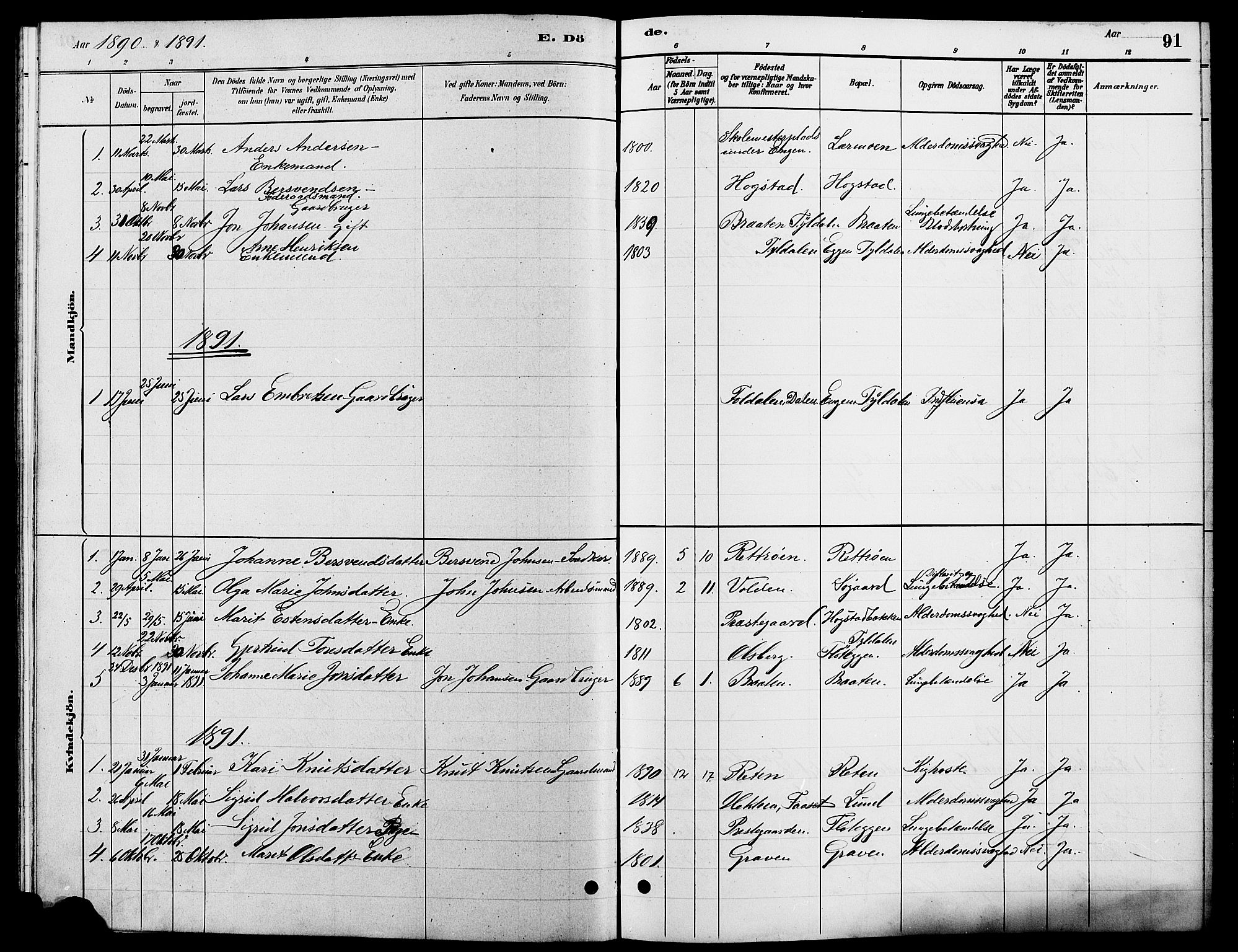 Tynset prestekontor, SAH/PREST-058/H/Ha/Hab/L0007: Parish register (copy) no. 7, 1880-1901, p. 91
