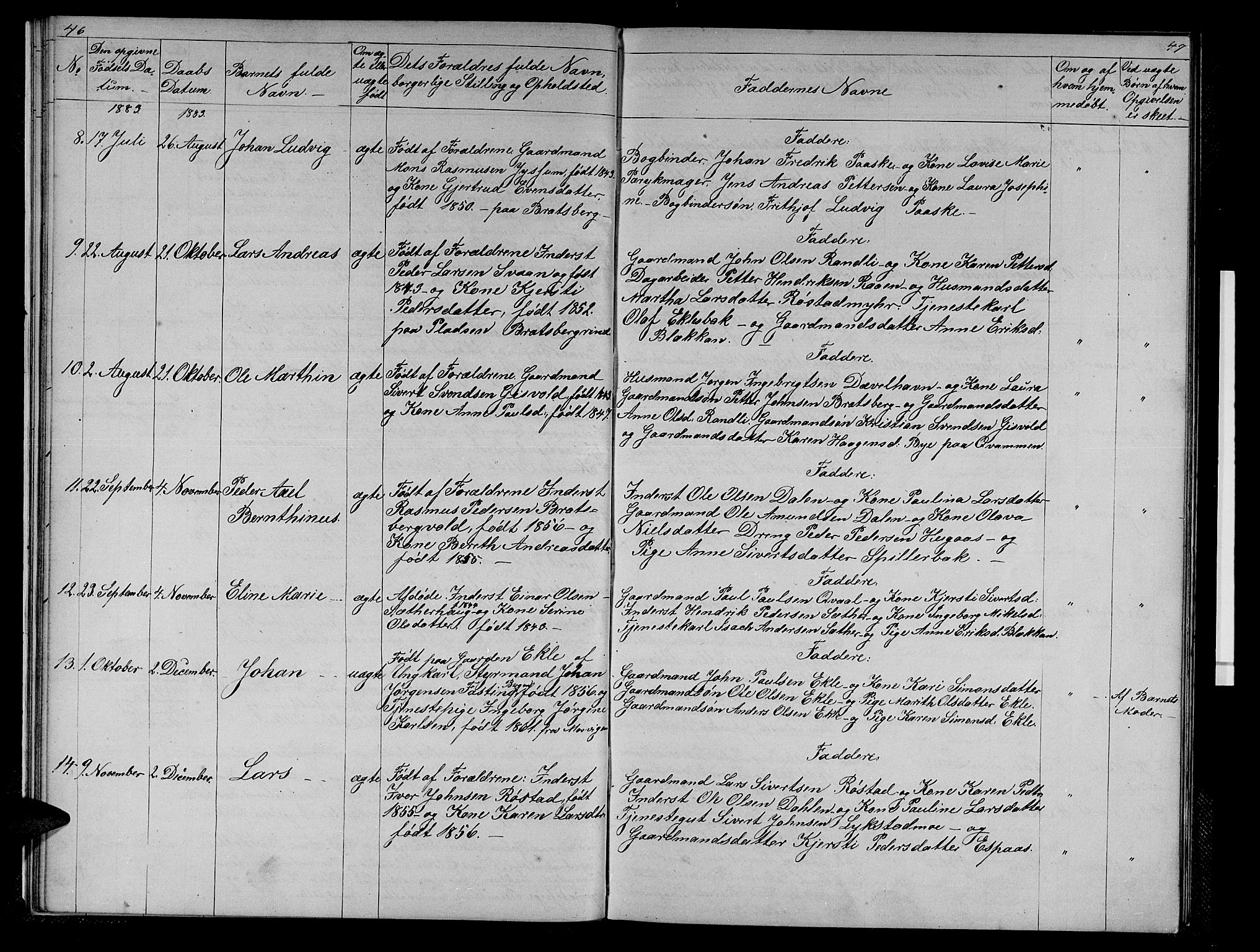 Ministerialprotokoller, klokkerbøker og fødselsregistre - Sør-Trøndelag, SAT/A-1456/608/L0340: Parish register (copy) no. 608C06, 1864-1889, p. 46-47