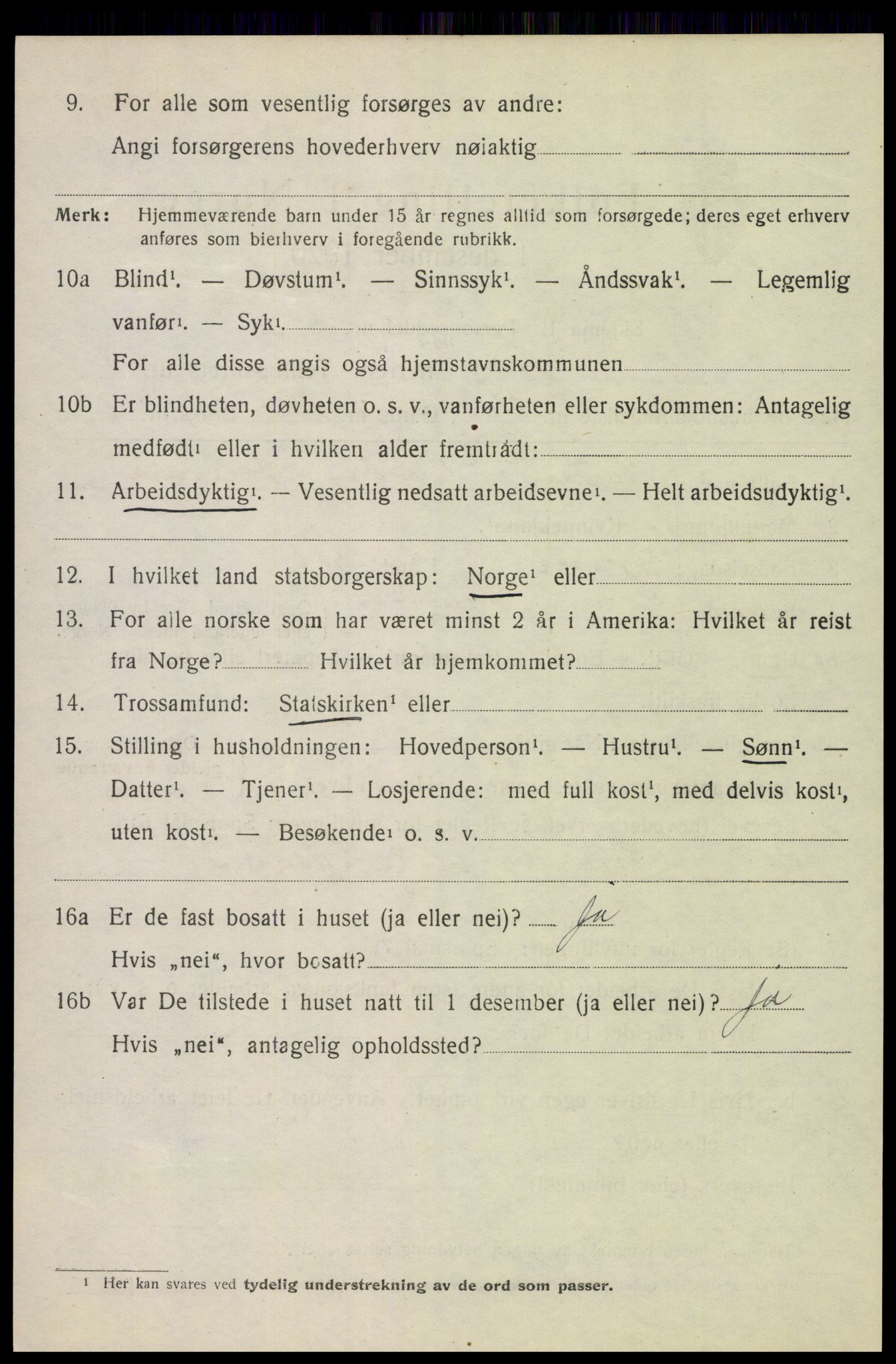 SAH, 1920 census for Vang (Hedmark), 1920, p. 17542