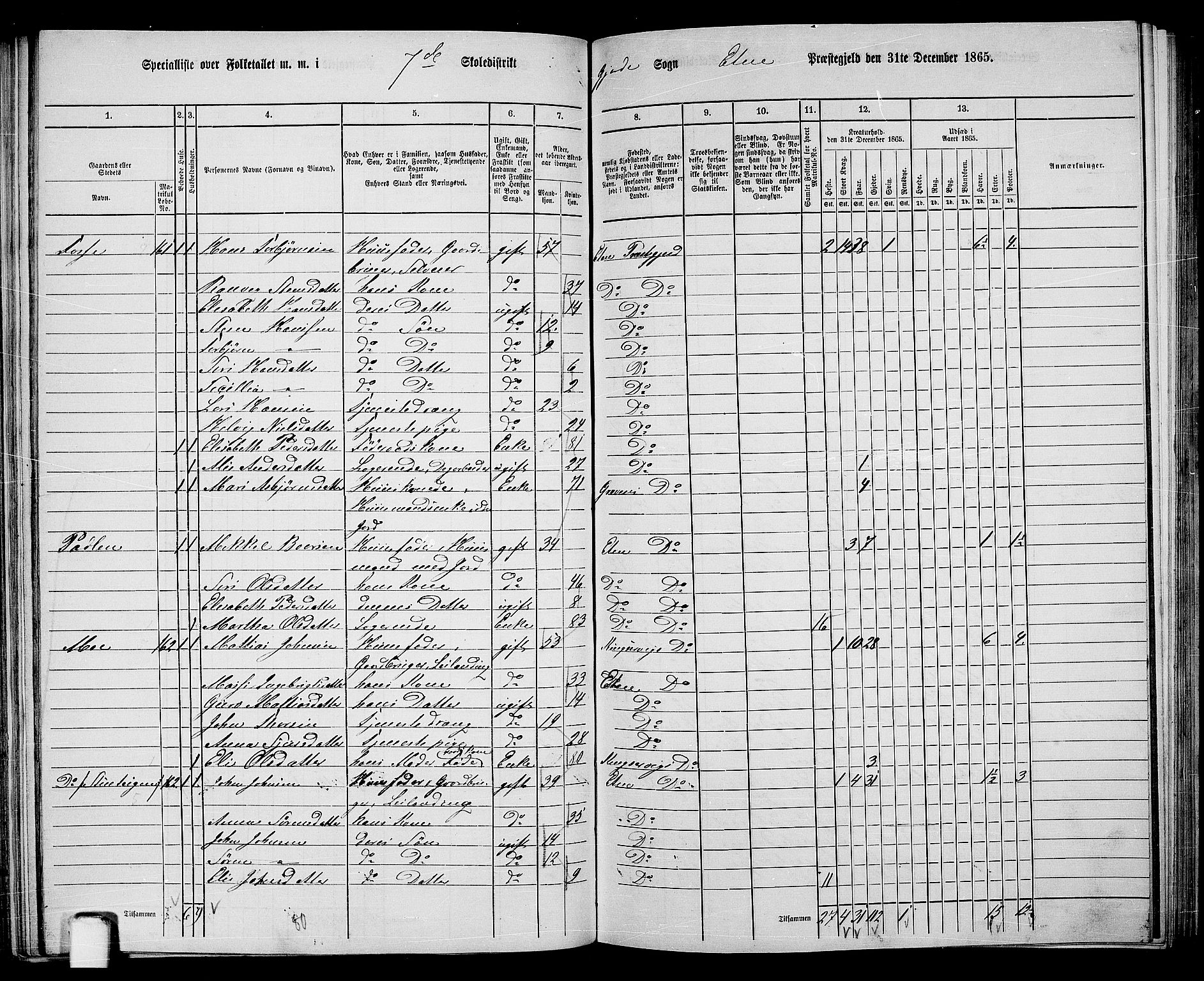 RA, 1865 census for Etne, 1865, p. 118