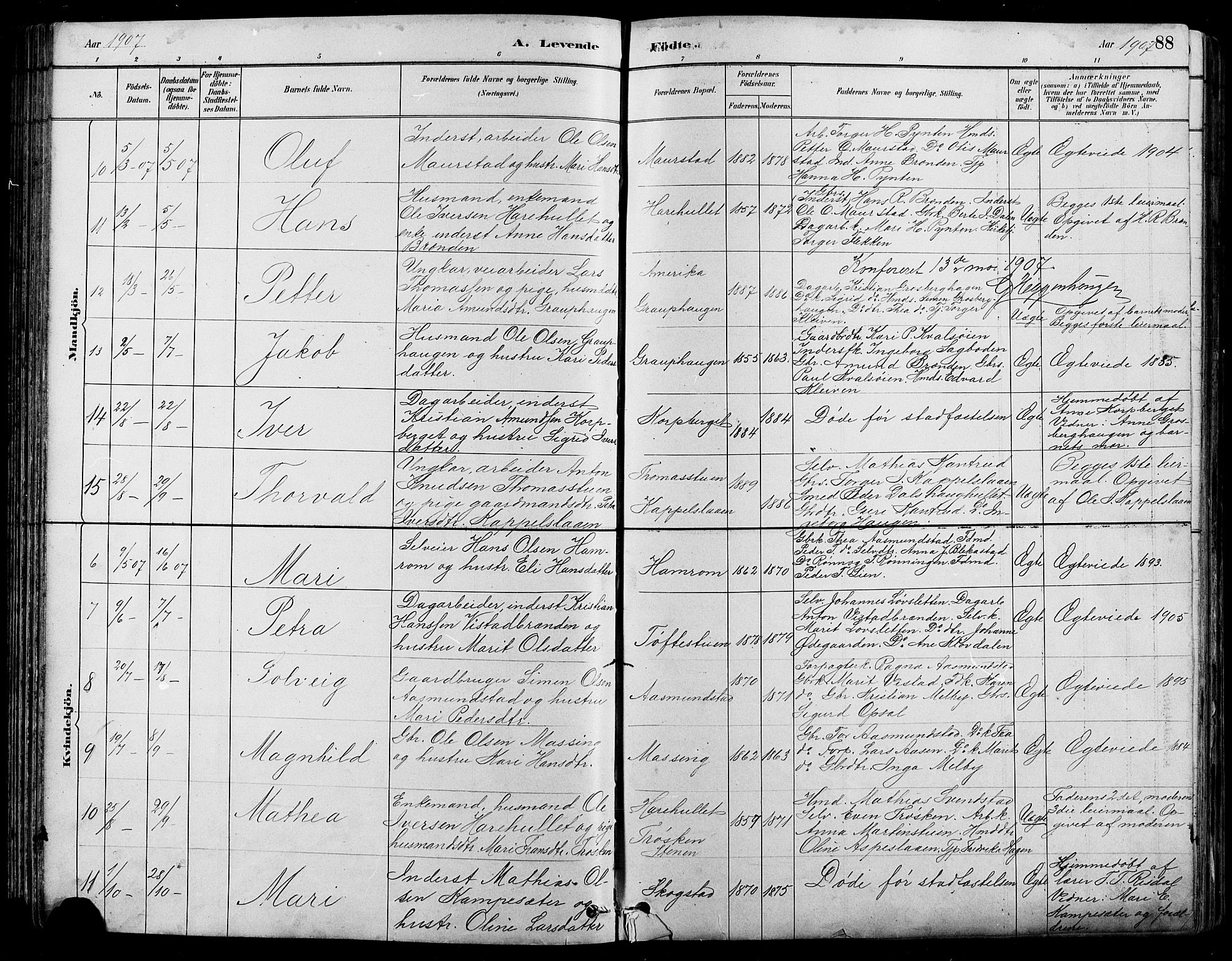 Nord-Fron prestekontor, SAH/PREST-080/H/Ha/Hab/L0005: Parish register (copy) no. 5, 1884-1914, p. 88