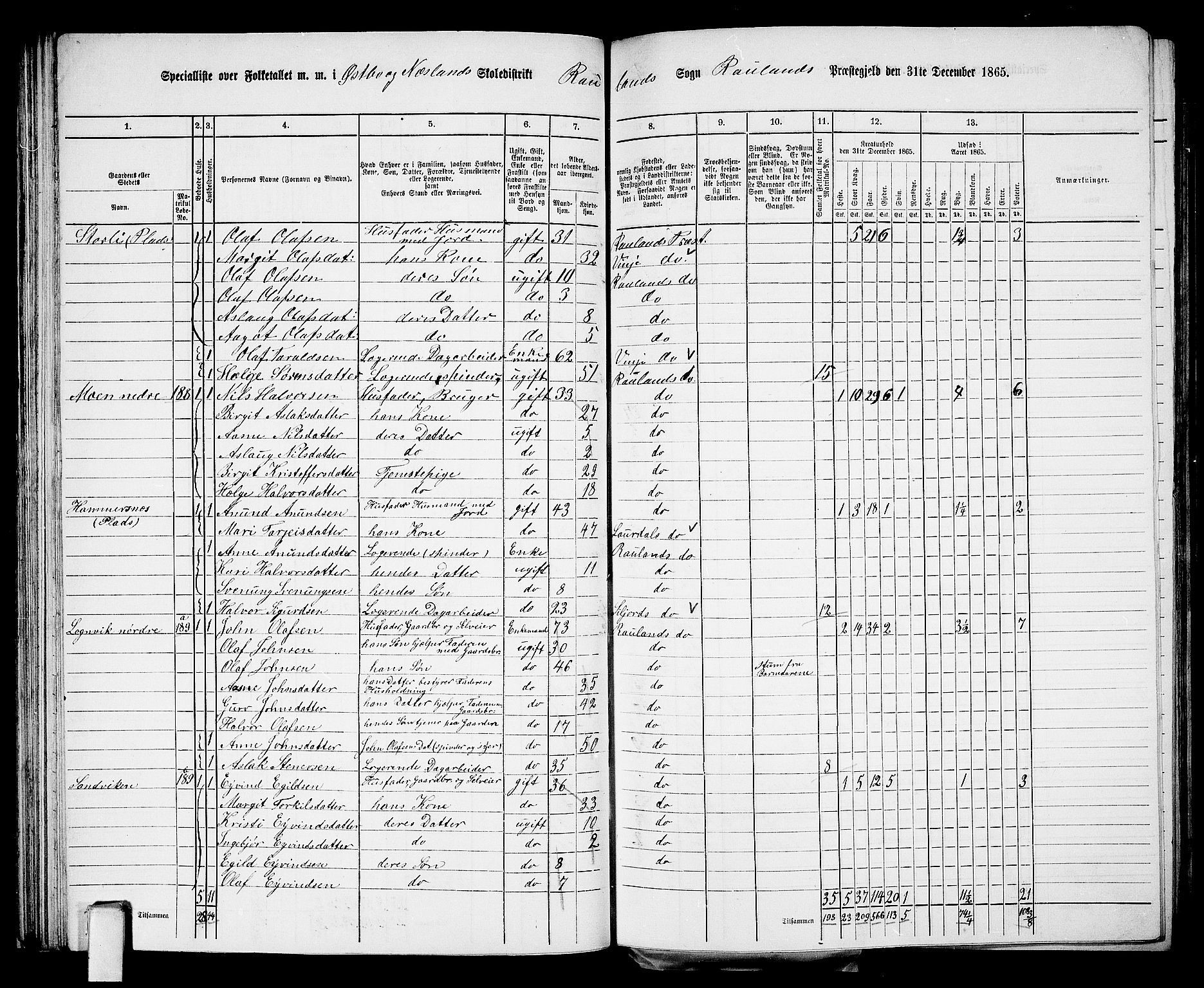 RA, 1865 census for Rauland, 1865, p. 48