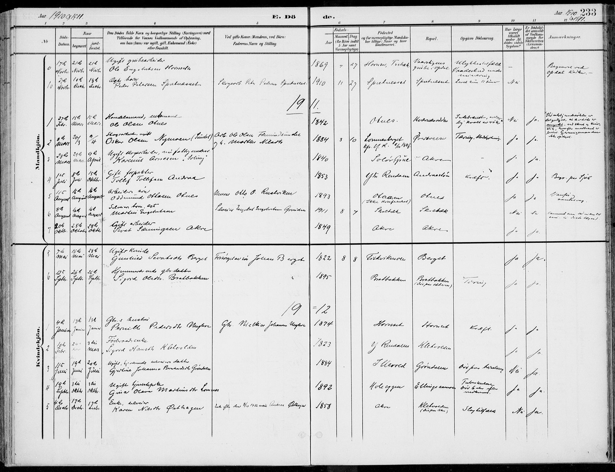 Rendalen prestekontor, SAH/PREST-054/H/Ha/Haa/L0011: Parish register (official) no. 11, 1901-1925, p. 233