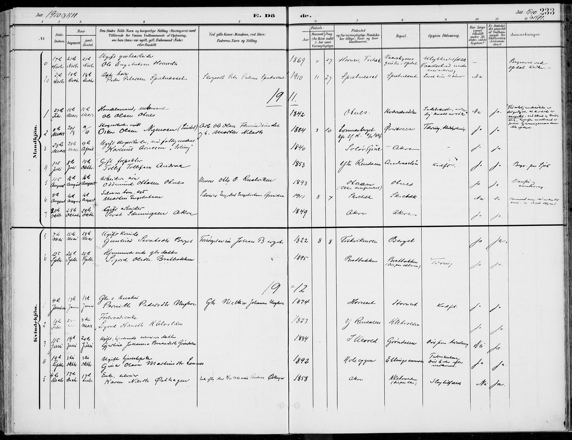 Rendalen prestekontor, AV/SAH-PREST-054/H/Ha/Haa/L0011: Parish register (official) no. 11, 1901-1925, p. 233