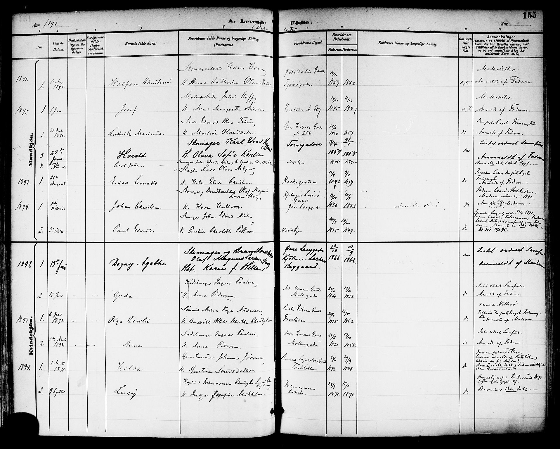 Tønsberg kirkebøker, SAKO/A-330/F/Fa/L0012: Parish register (official) no. I 12, 1891-1899, p. 155