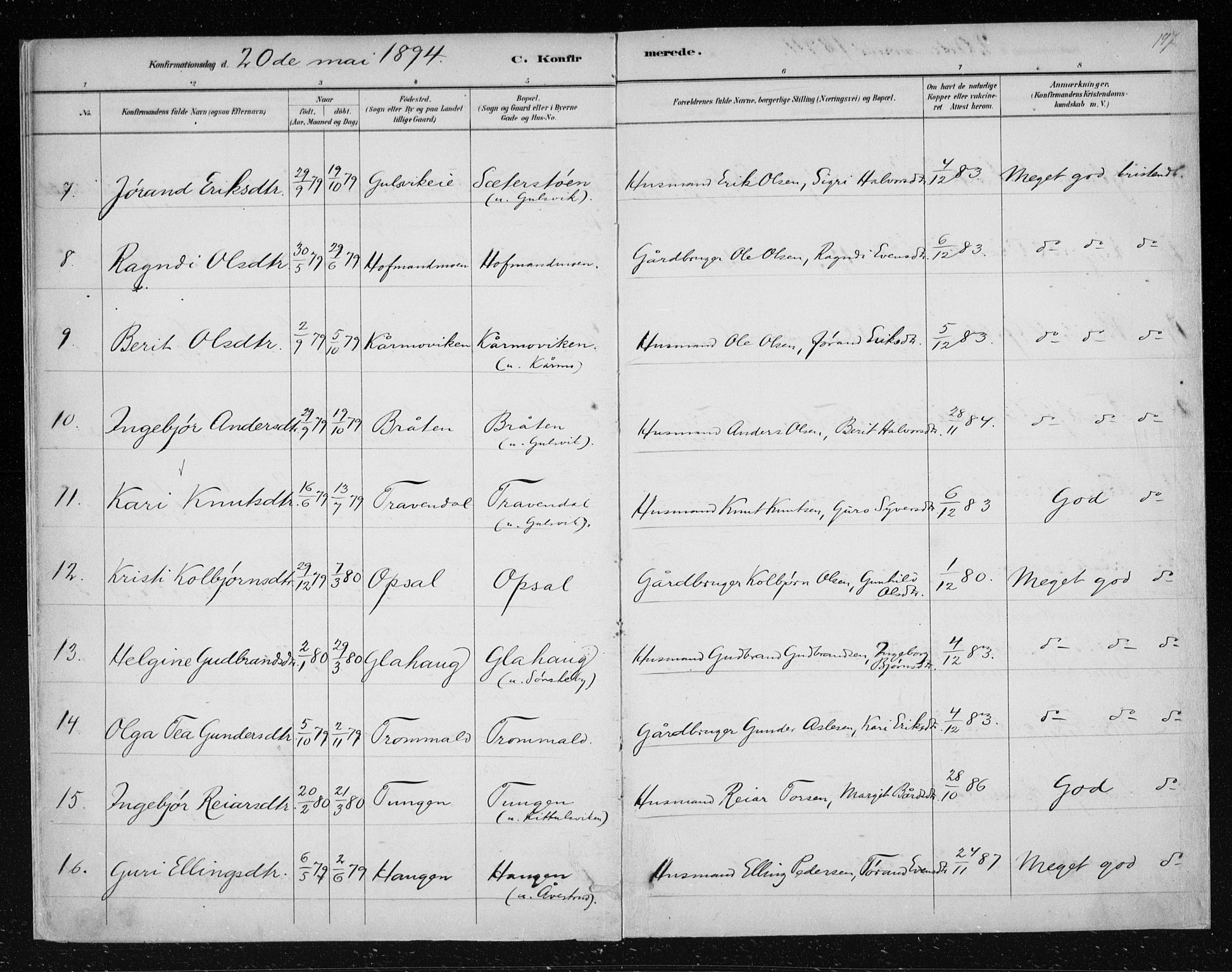 Nes kirkebøker, AV/SAKO-A-236/F/Fa/L0012: Parish register (official) no. 12, 1881-1917, p. 197