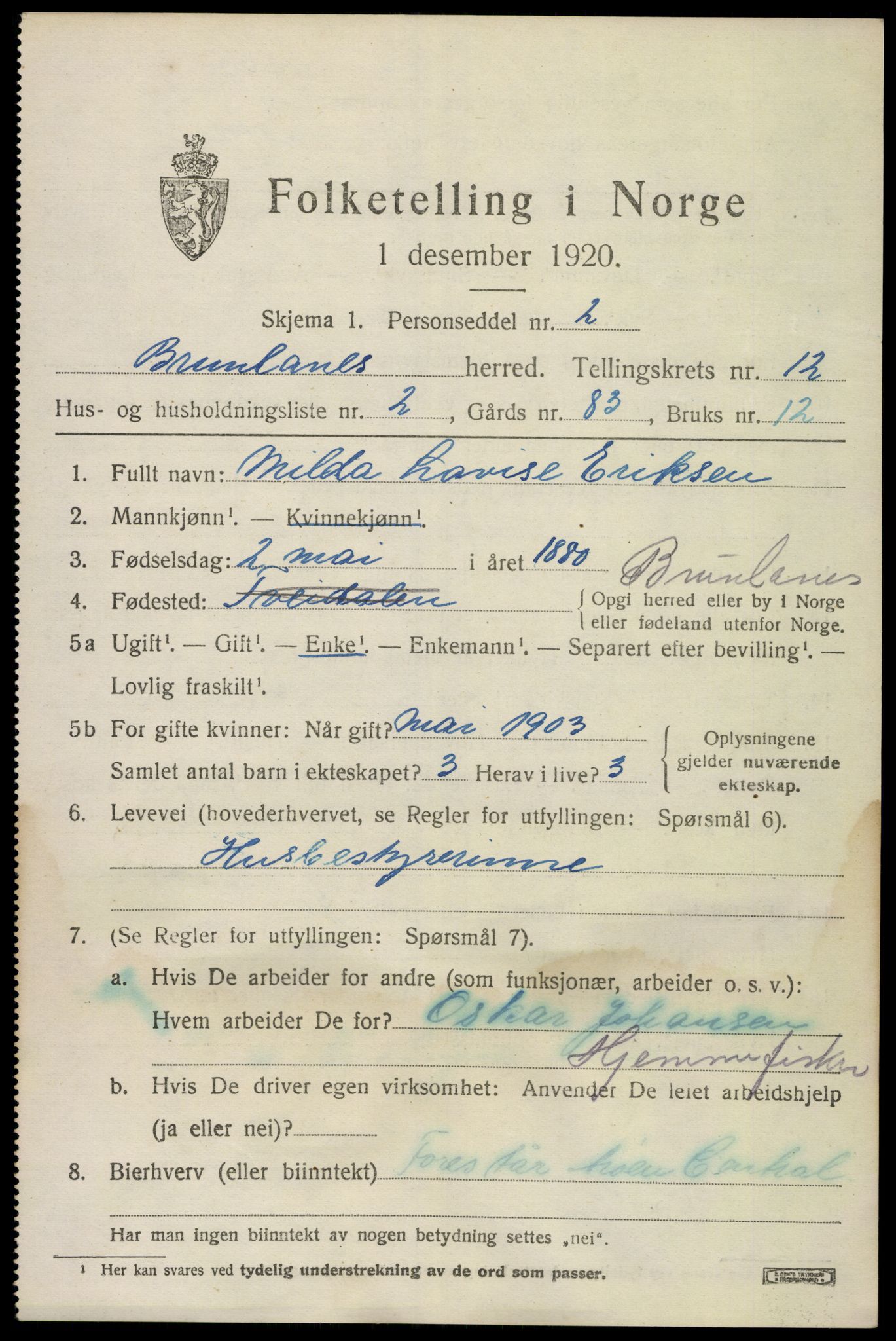 SAKO, 1920 census for Brunlanes, 1920, p. 10515