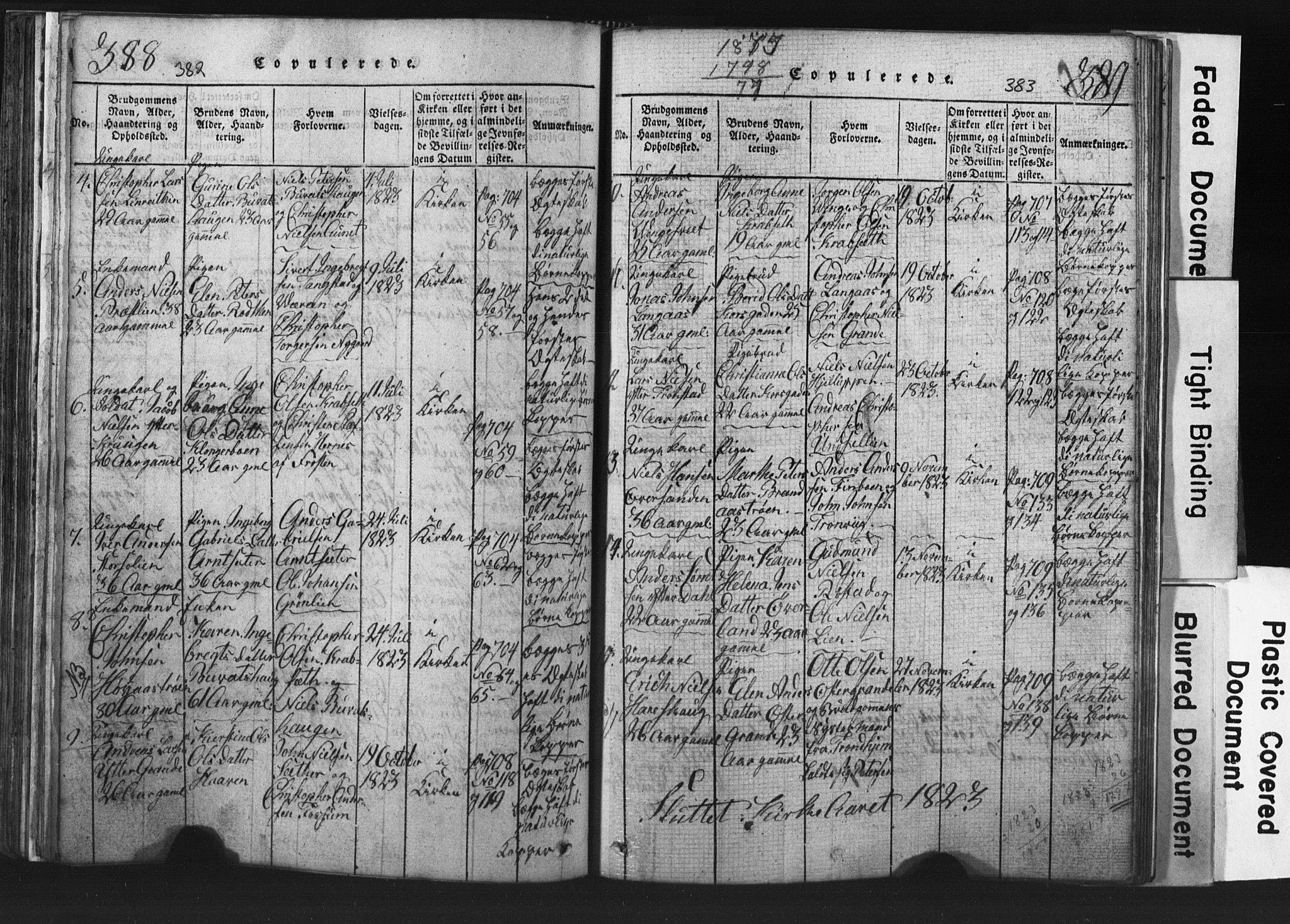 Ministerialprotokoller, klokkerbøker og fødselsregistre - Nord-Trøndelag, SAT/A-1458/701/L0017: Parish register (copy) no. 701C01, 1817-1825, p. 382-383