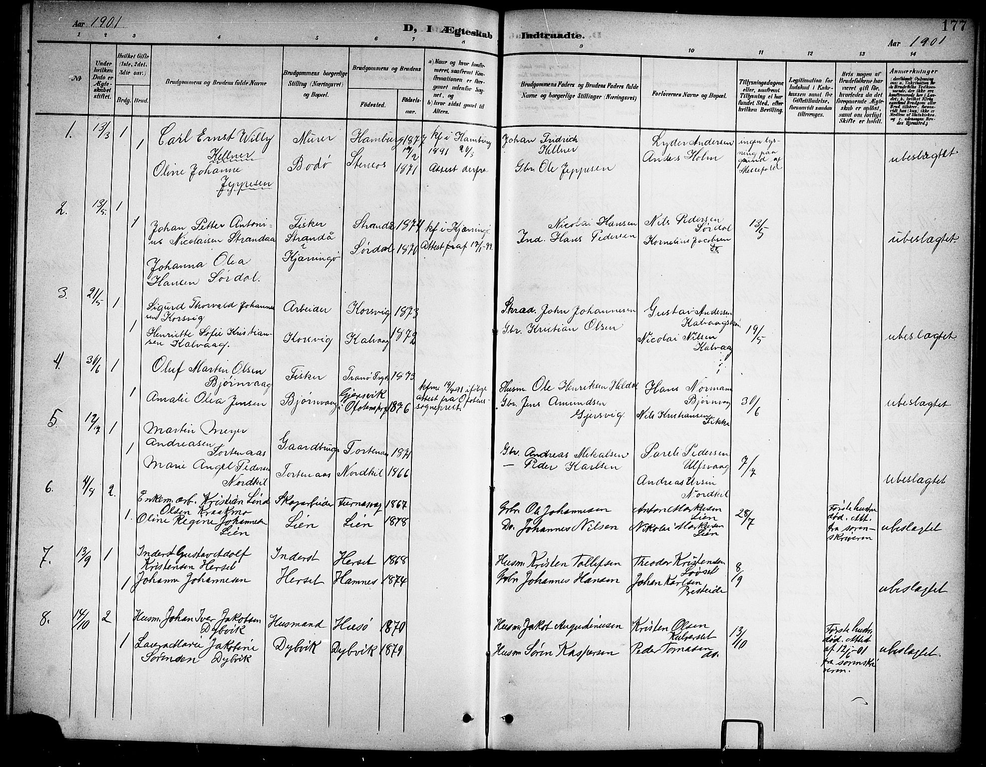 Ministerialprotokoller, klokkerbøker og fødselsregistre - Nordland, AV/SAT-A-1459/859/L0860: Parish register (copy) no. 859C06, 1899-1909, p. 177