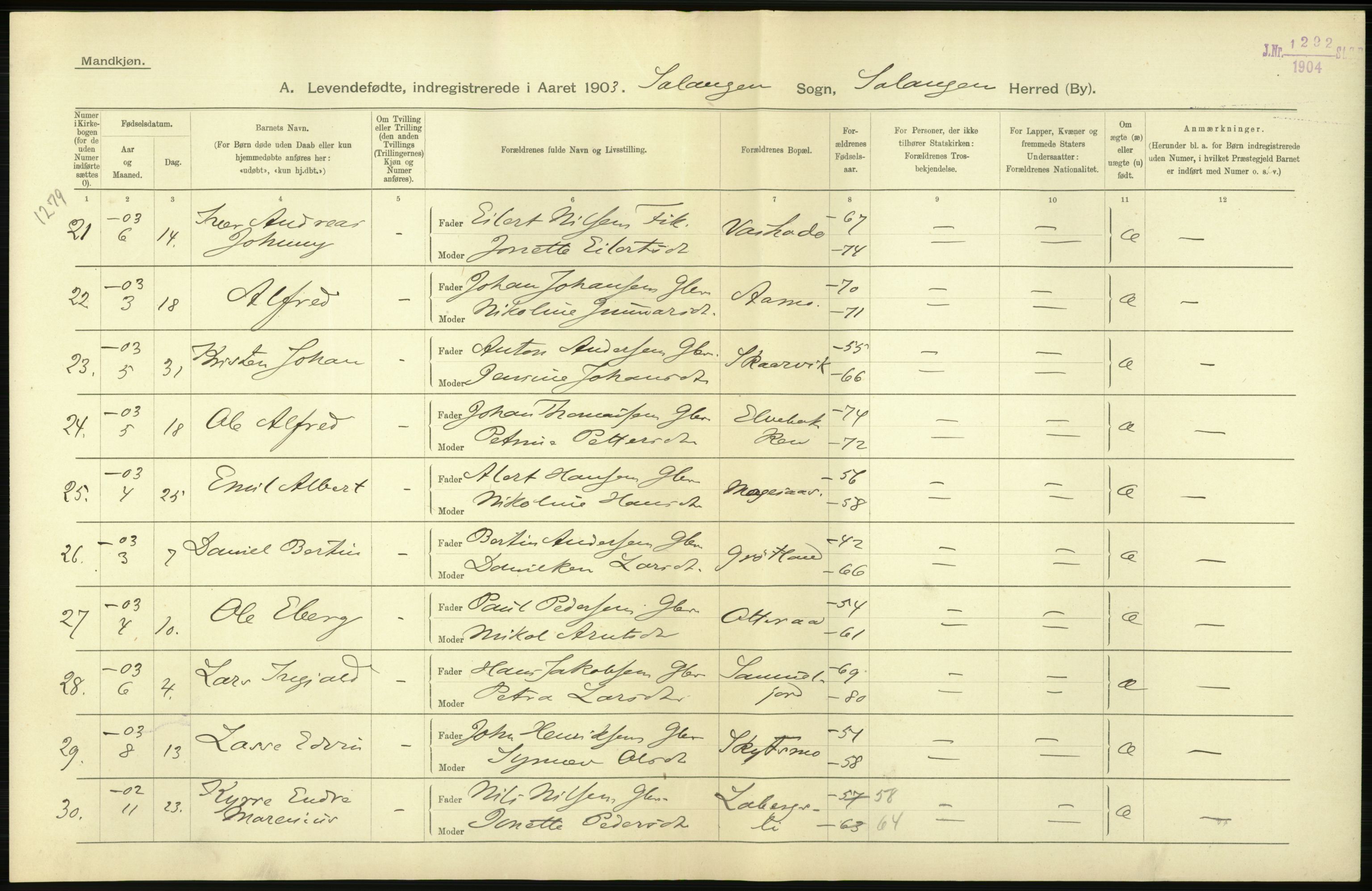 Statistisk sentralbyrå, Sosiodemografiske emner, Befolkning, AV/RA-S-2228/D/Df/Dfa/Dfaa/L0021: Tromsø amt: Fødte, gifte, døde., 1903, p. 26