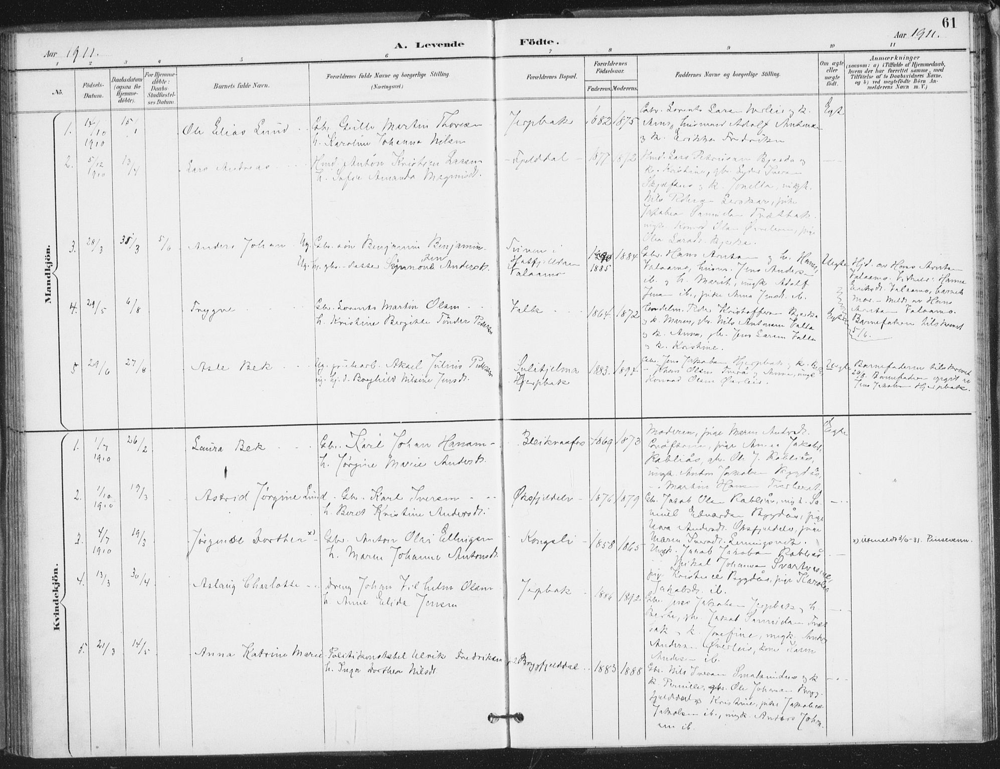 Ministerialprotokoller, klokkerbøker og fødselsregistre - Nordland, AV/SAT-A-1459/826/L0380: Parish register (official) no. 826A03, 1891-1911, p. 61