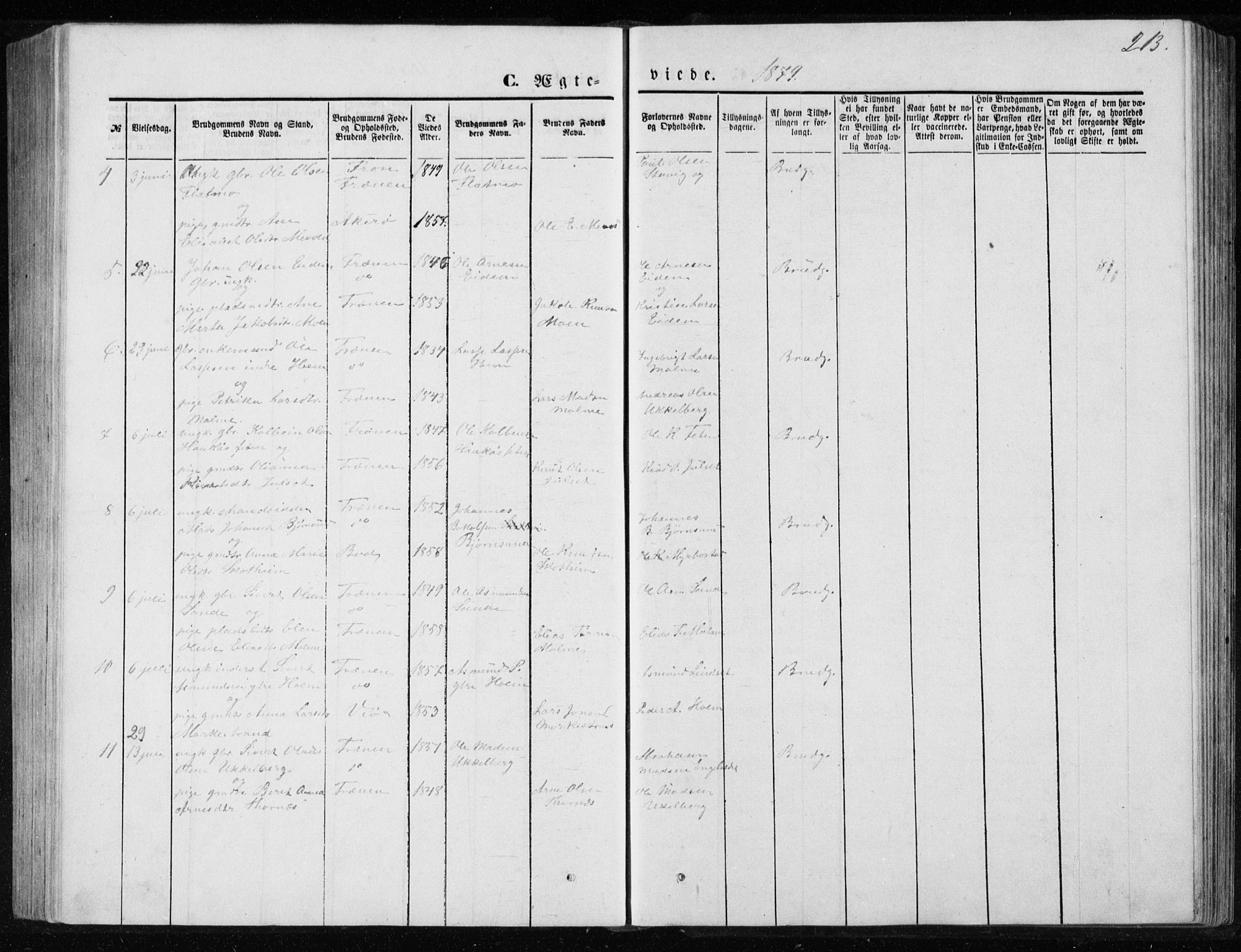 Ministerialprotokoller, klokkerbøker og fødselsregistre - Møre og Romsdal, AV/SAT-A-1454/565/L0754: Parish register (copy) no. 565C03, 1870-1896, p. 213