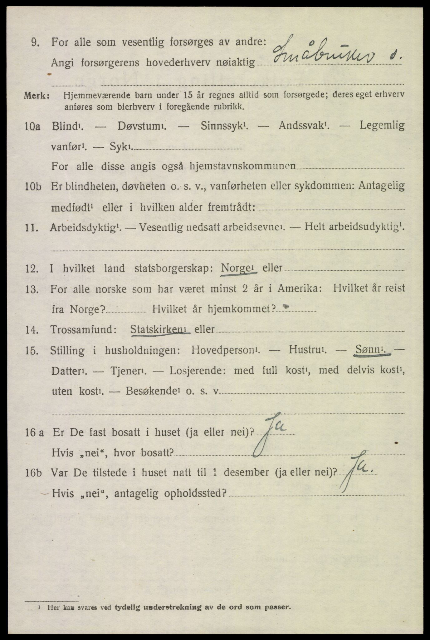 SAH, 1920 census for Trysil, 1920, p. 10174