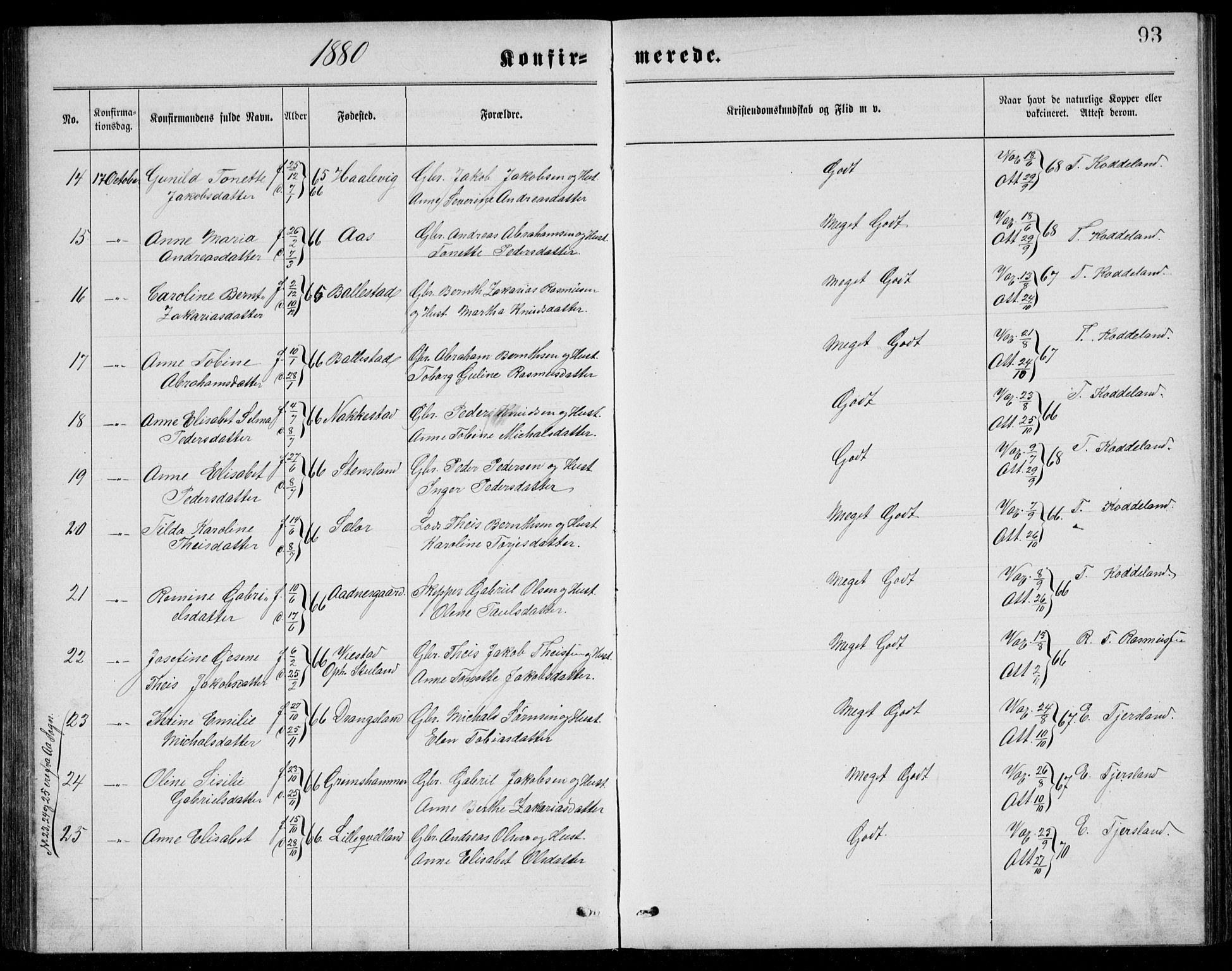 Lyngdal sokneprestkontor, AV/SAK-1111-0029/F/Fb/Fba/L0002: Parish register (copy) no. B 2, 1876-1886, p. 93