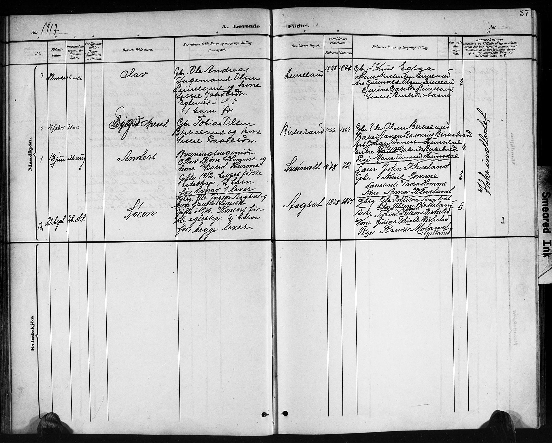 Holum sokneprestkontor, AV/SAK-1111-0022/F/Fb/Fbb/L0004: Parish register (copy) no. B 4, 1899-1920, p. 37