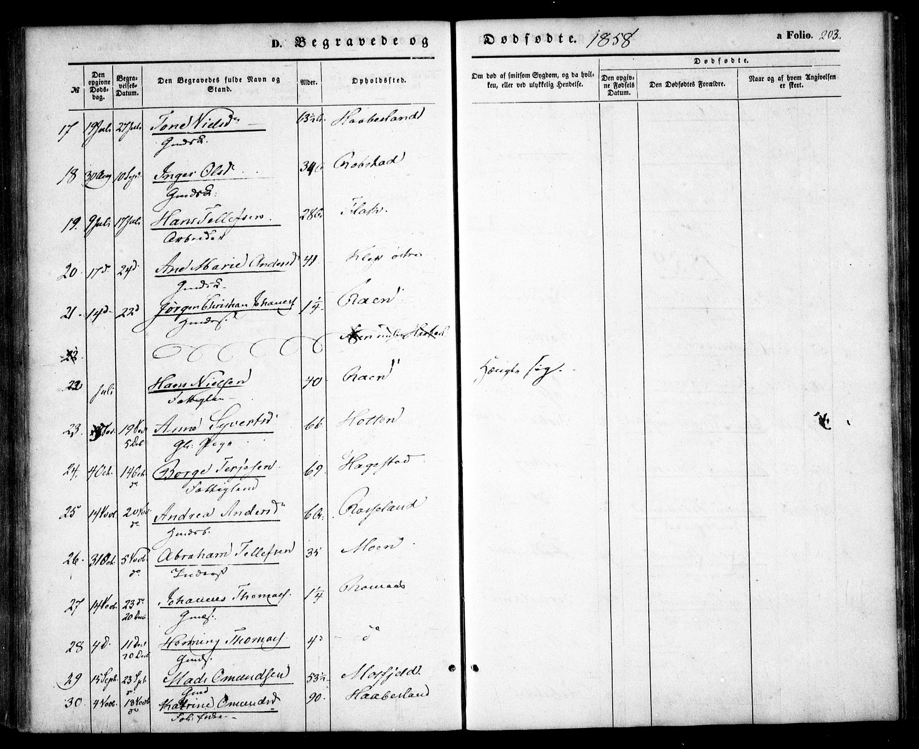 Birkenes sokneprestkontor, AV/SAK-1111-0004/F/Fa/L0003: Parish register (official) no. A 3, 1850-1866, p. 203