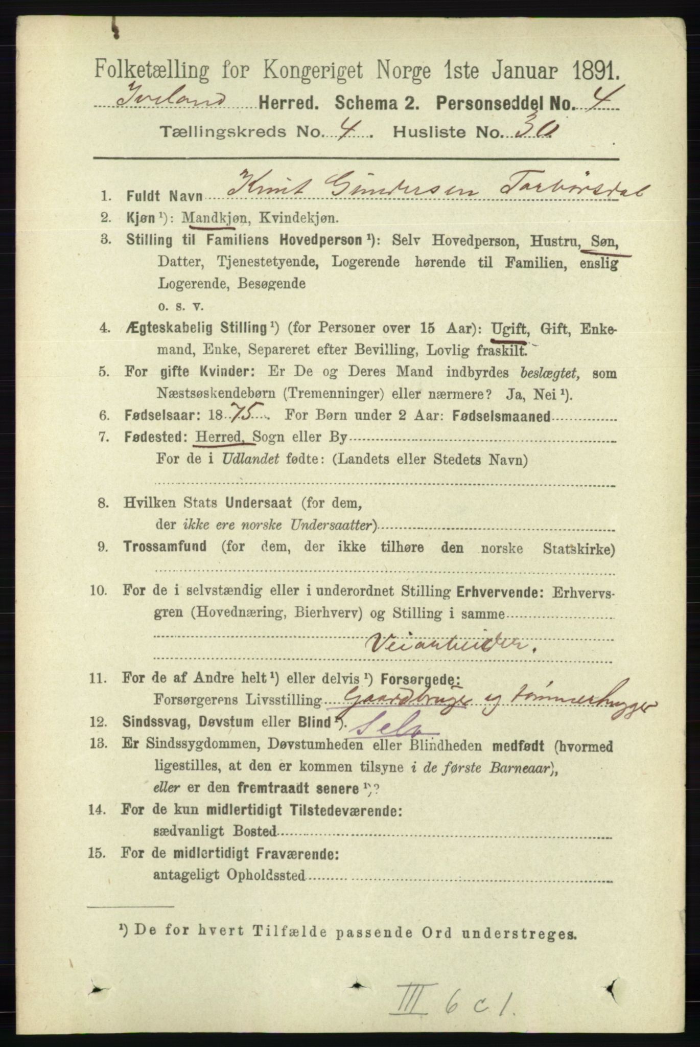 RA, 1891 census for 0935 Iveland, 1891, p. 1224