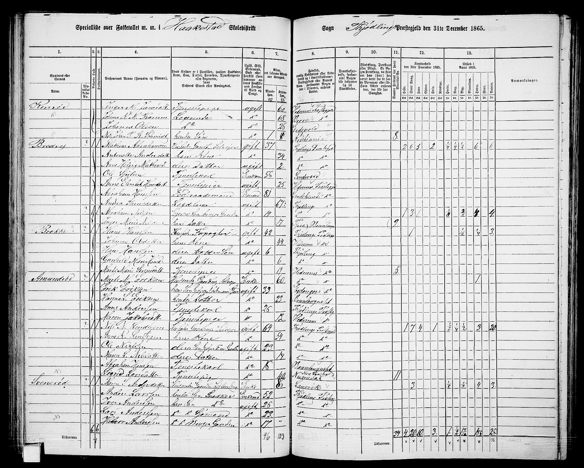 RA, 1865 census for Tjølling, 1865, p. 83