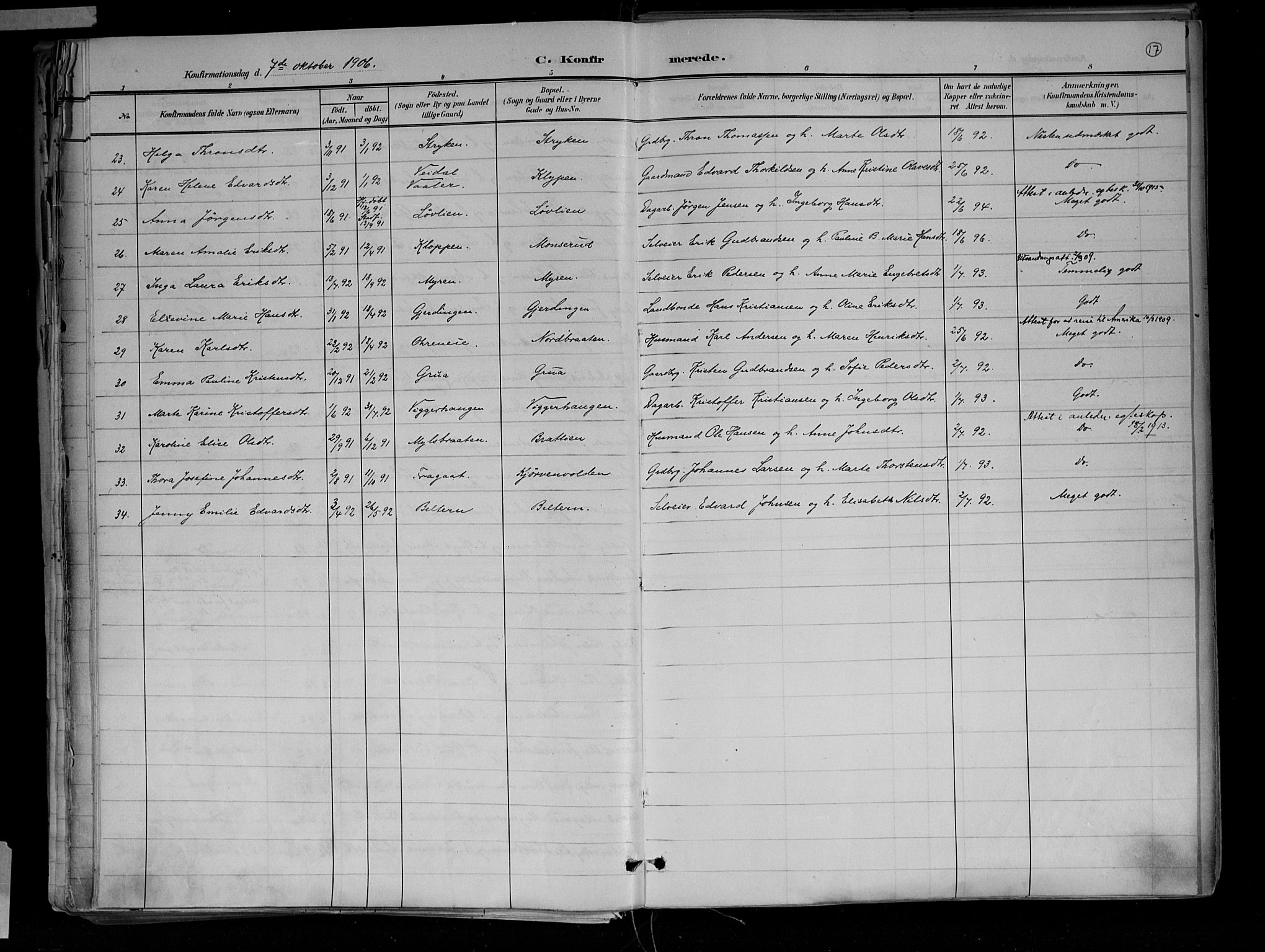 Jevnaker prestekontor, AV/SAH-PREST-116/H/Ha/Haa/L0010: Parish register (official) no. 10, 1891-1906, p. 17