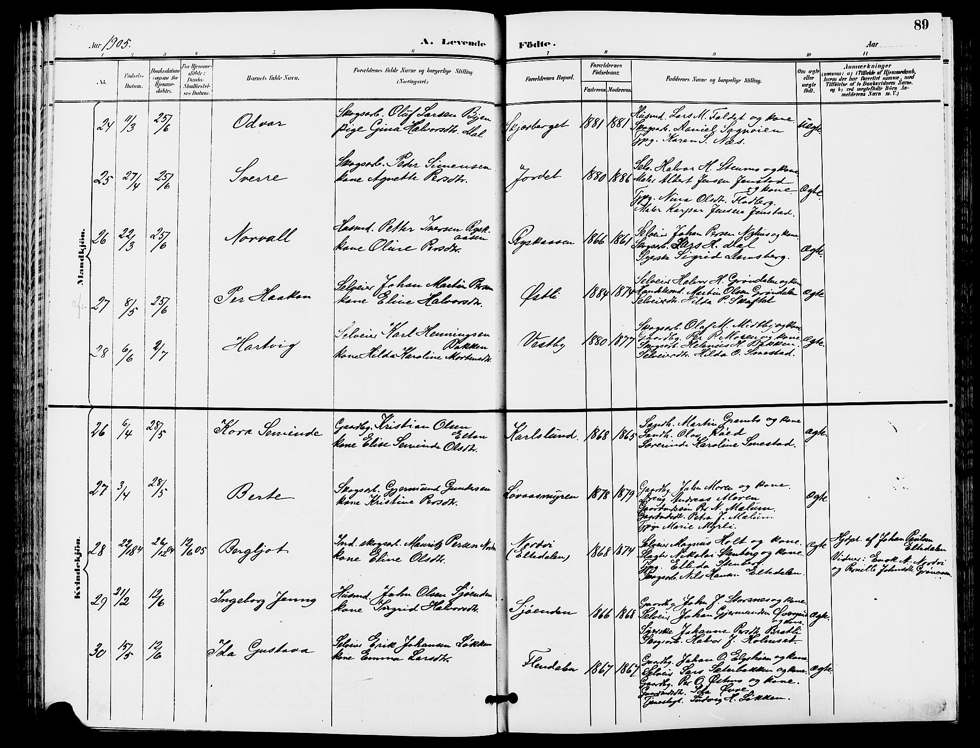 Trysil prestekontor, AV/SAH-PREST-046/H/Ha/Hab/L0006: Parish register (copy) no. 6, 1896-1912, p. 89