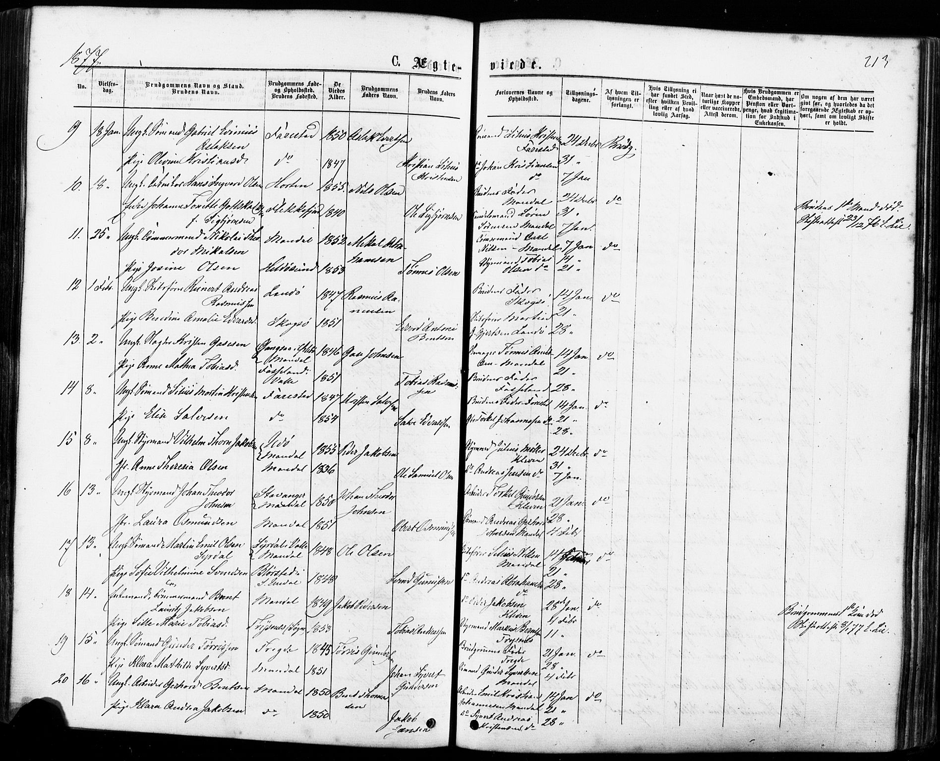 Mandal sokneprestkontor, AV/SAK-1111-0030/F/Fa/Faa/L0015: Parish register (official) no. A 15, 1873-1879, p. 213