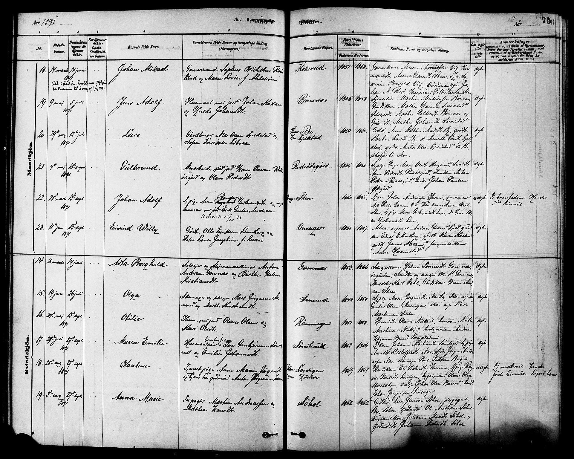 Hole kirkebøker, SAKO/A-228/F/Fa/L0008: Parish register (official) no. I 8, 1878-1891, p. 75
