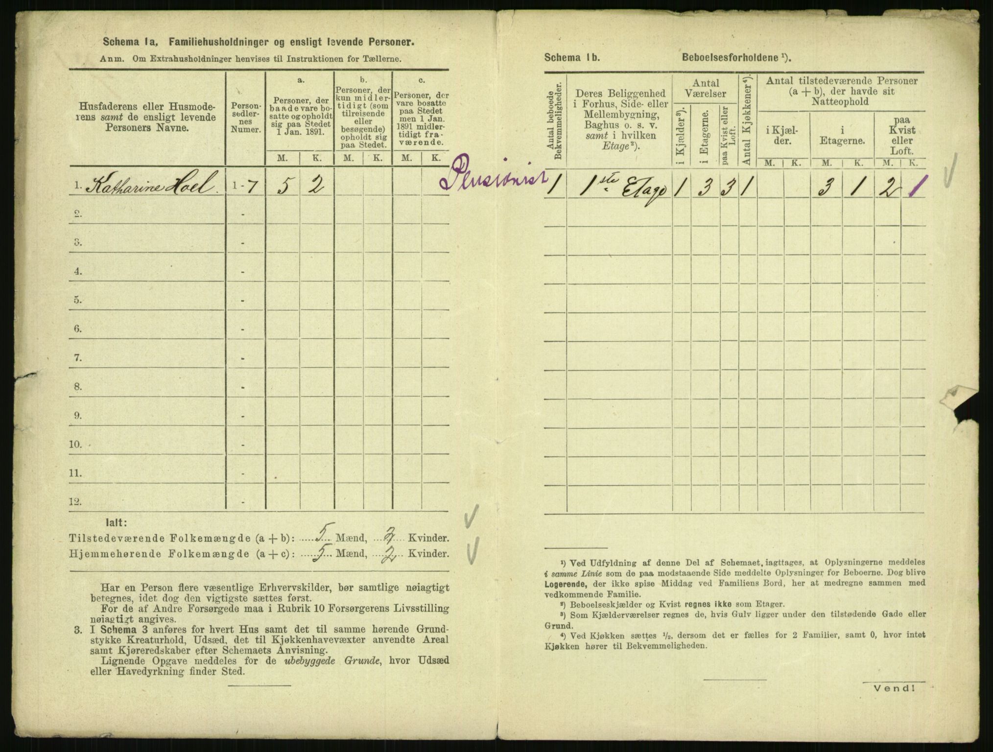 RA, 1891 census for 0801 Kragerø, 1891, p. 1353