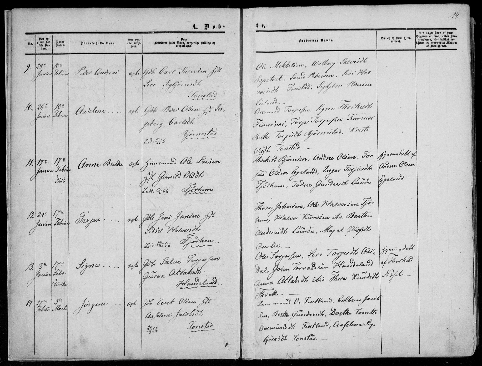 Sirdal sokneprestkontor, AV/SAK-1111-0036/F/Fa/Fab/L0002: Parish register (official) no. A 2, 1855-1874, p. 14