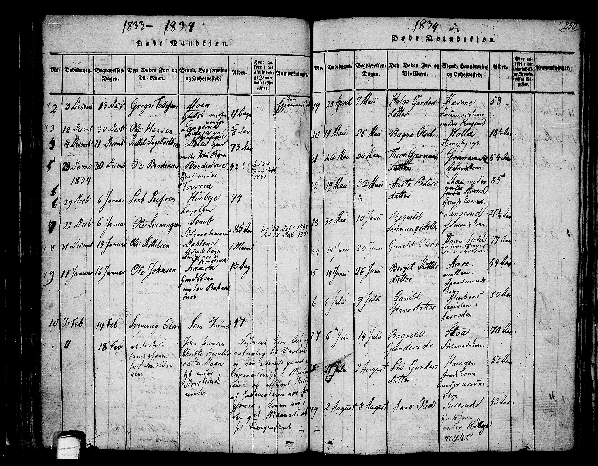 Heddal kirkebøker, AV/SAKO-A-268/F/Fa/L0005: Parish register (official) no. I 5, 1814-1837, p. 249-250