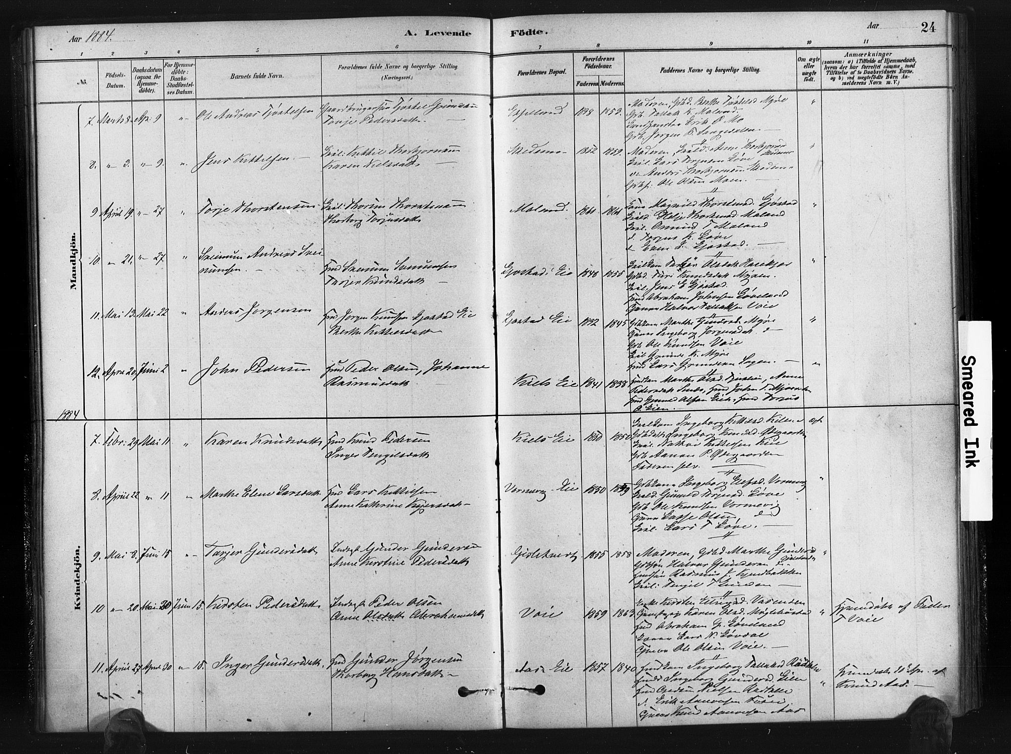 Gjerstad sokneprestkontor, AV/SAK-1111-0014/F/Fa/Fab/L0004: Parish register (official) no. A 4, 1879-1890, p. 24