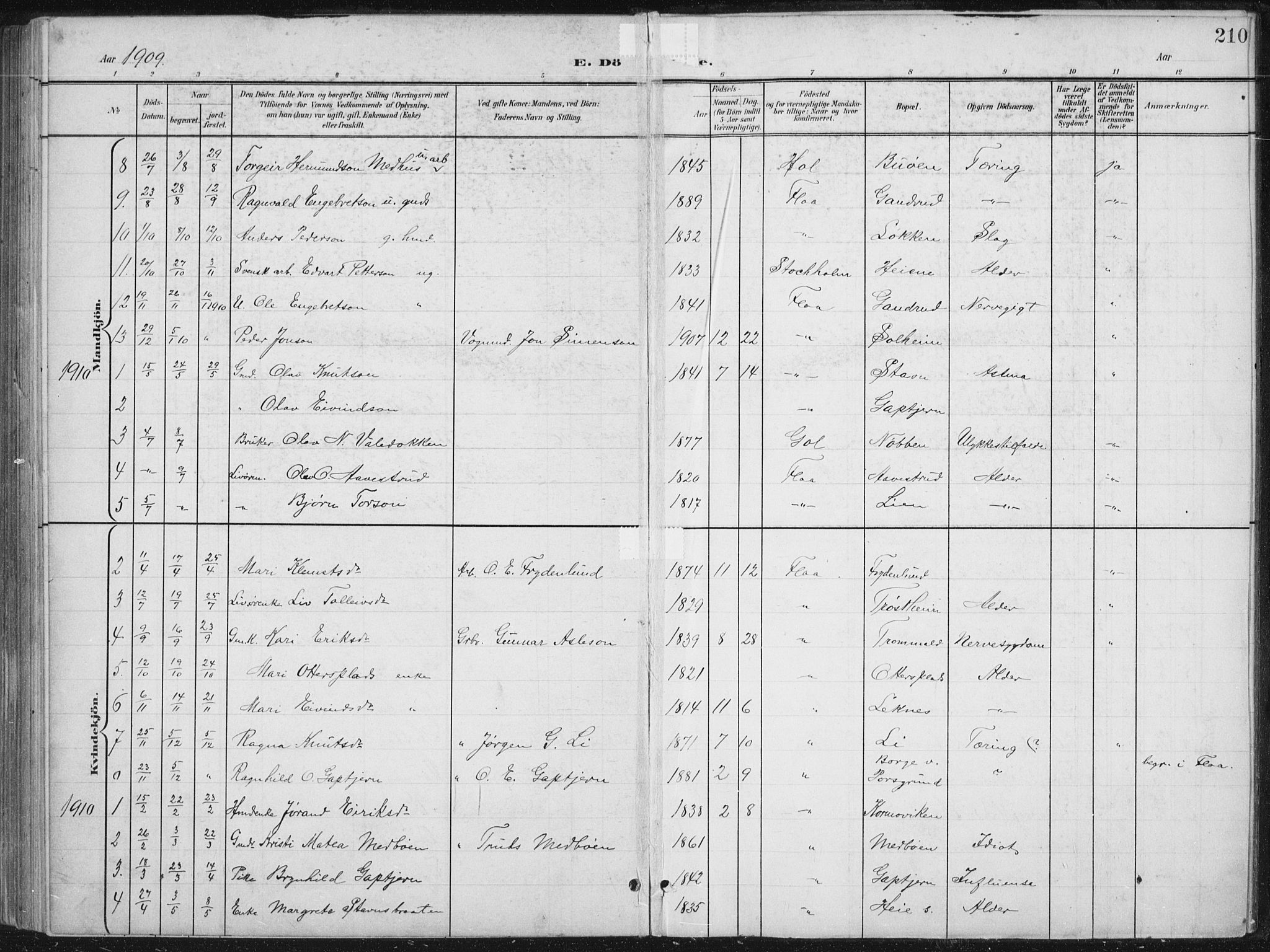 Nes kirkebøker, SAKO/A-236/G/Gb/L0001: Parish register (copy) no. II 1, 1901-1939, p. 210
