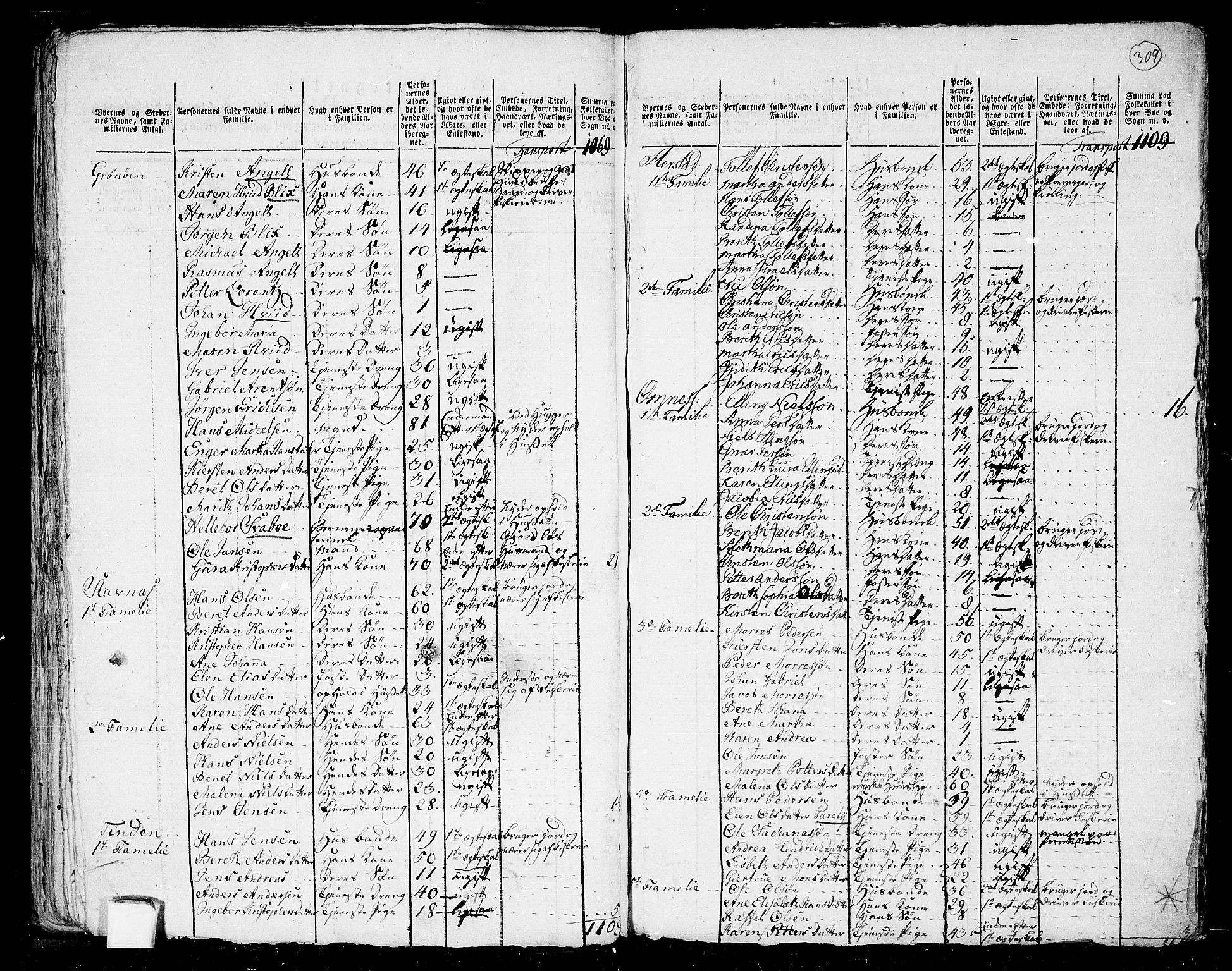 RA, 1801 census for 1836P Rødøy, 1801, p. 308b-309a