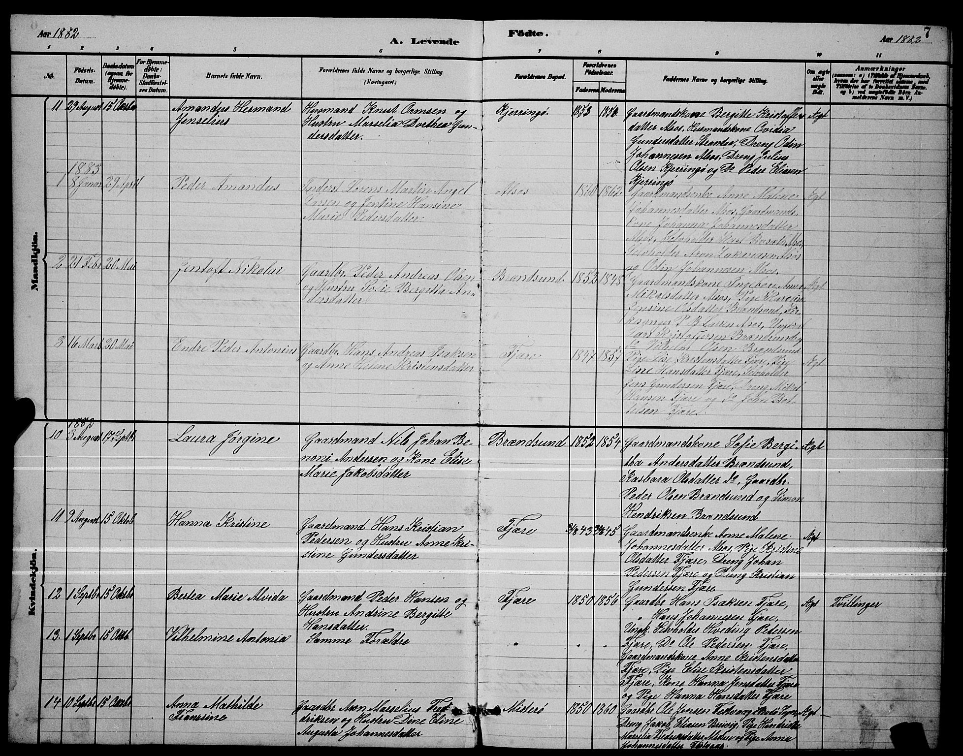 Ministerialprotokoller, klokkerbøker og fødselsregistre - Nordland, SAT/A-1459/803/L0076: Parish register (copy) no. 803C03, 1882-1897, p. 7