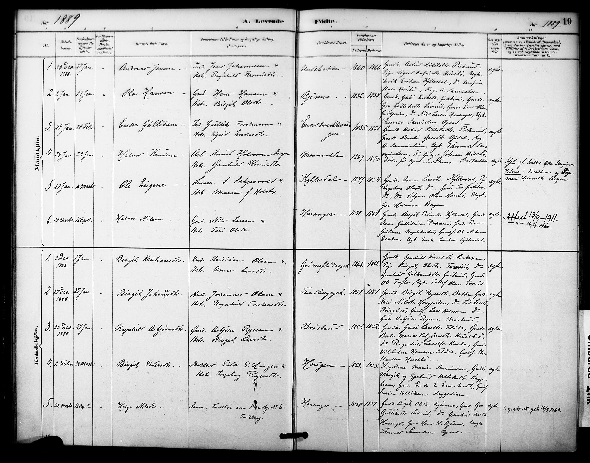 Nore kirkebøker, SAKO/A-238/F/Fc/L0004: Parish register (official) no. III 4, 1885-1898, p. 19