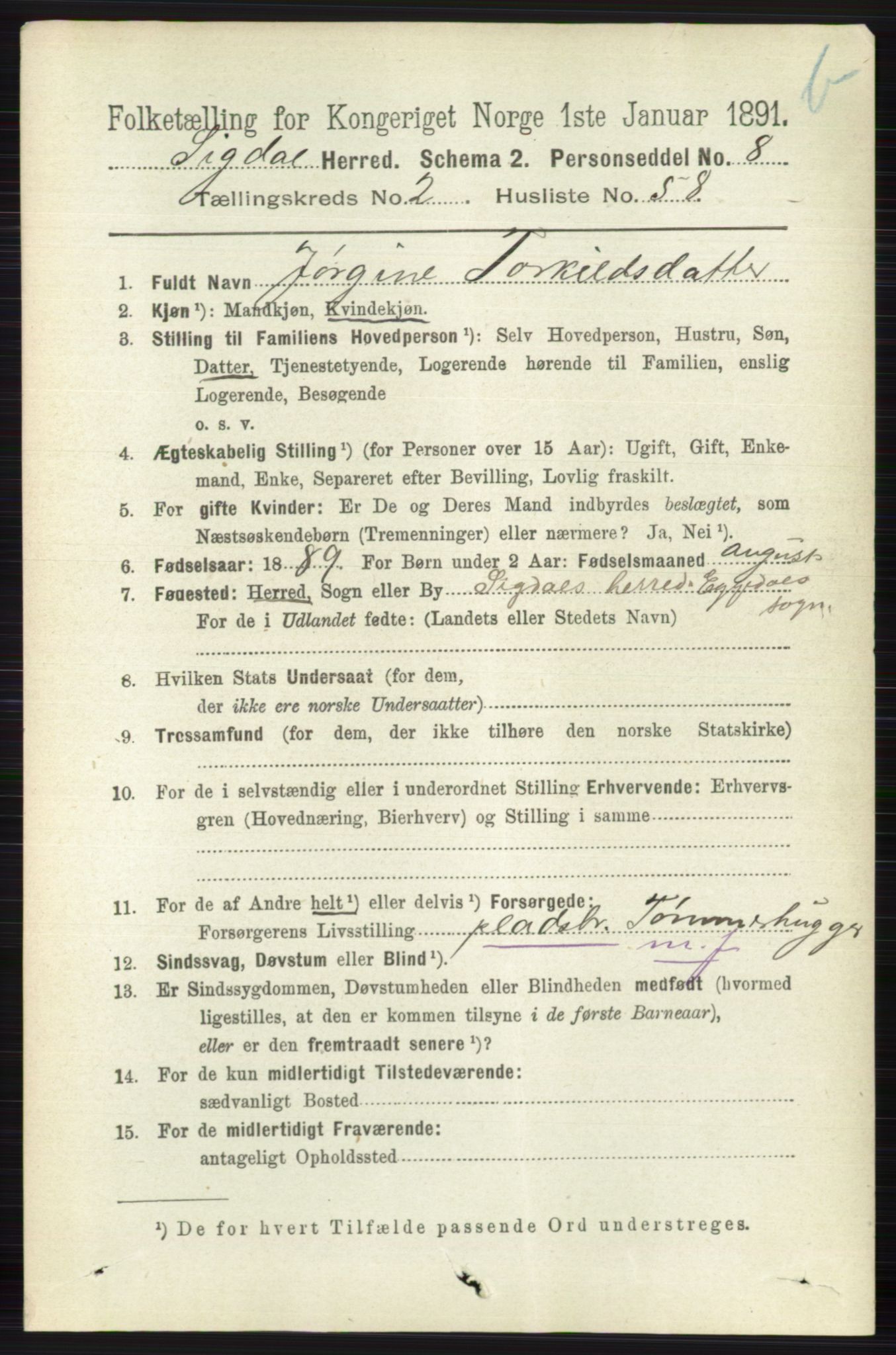 RA, 1891 census for 0621 Sigdal, 1891, p. 4243