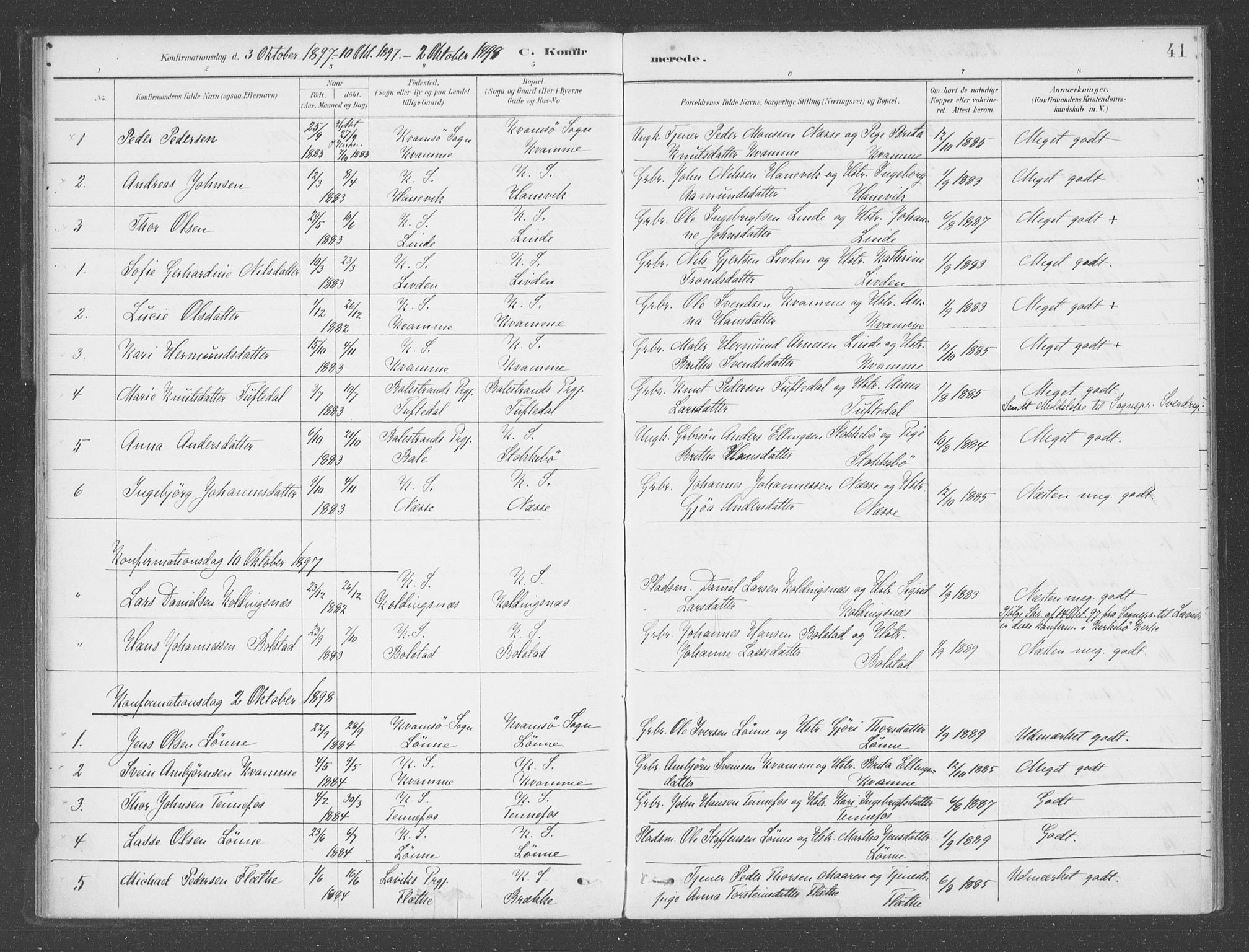 Vik sokneprestembete, AV/SAB-A-81501/H/Haa/Haad/L0002: Parish register (official) no. D  2, 1891-1907, p. 41