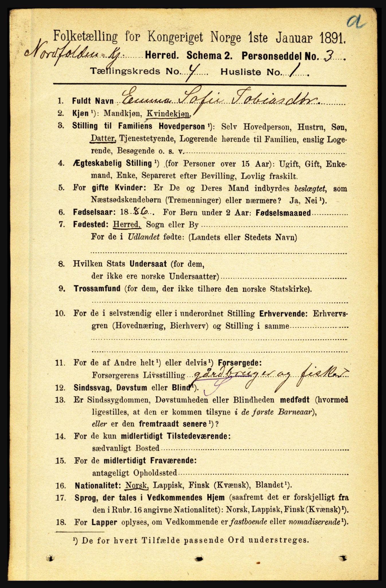RA, 1891 census for 1846 Nordfold-Kjerringøy, 1891, p. 935