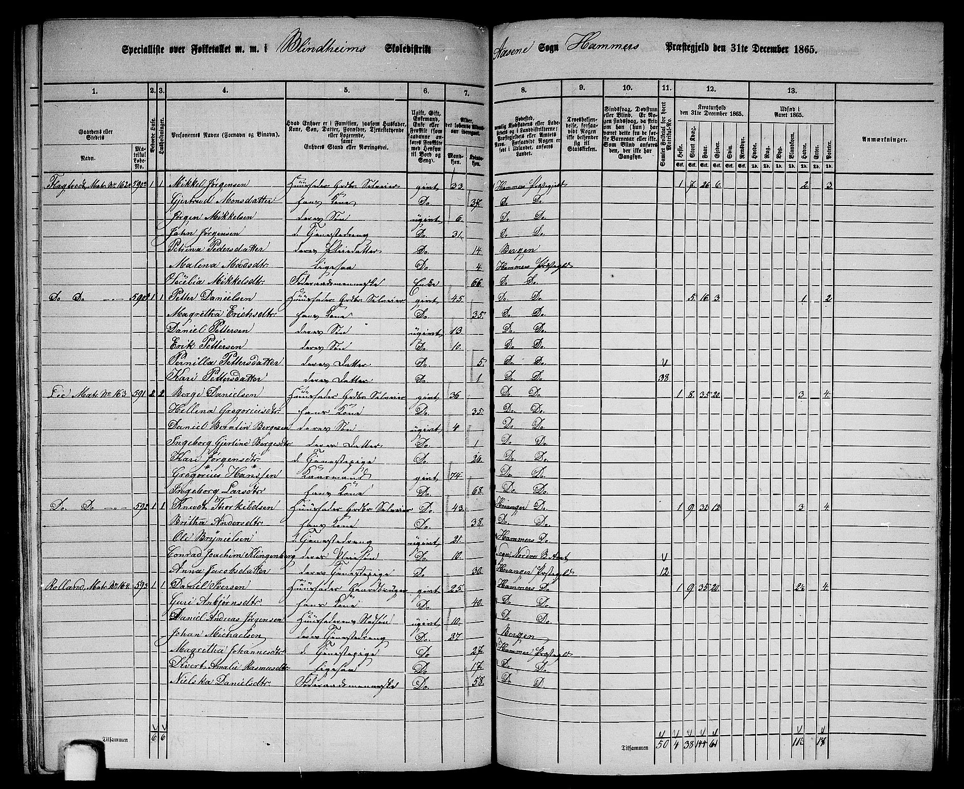 RA, 1865 census for Hamre, 1865, p. 197