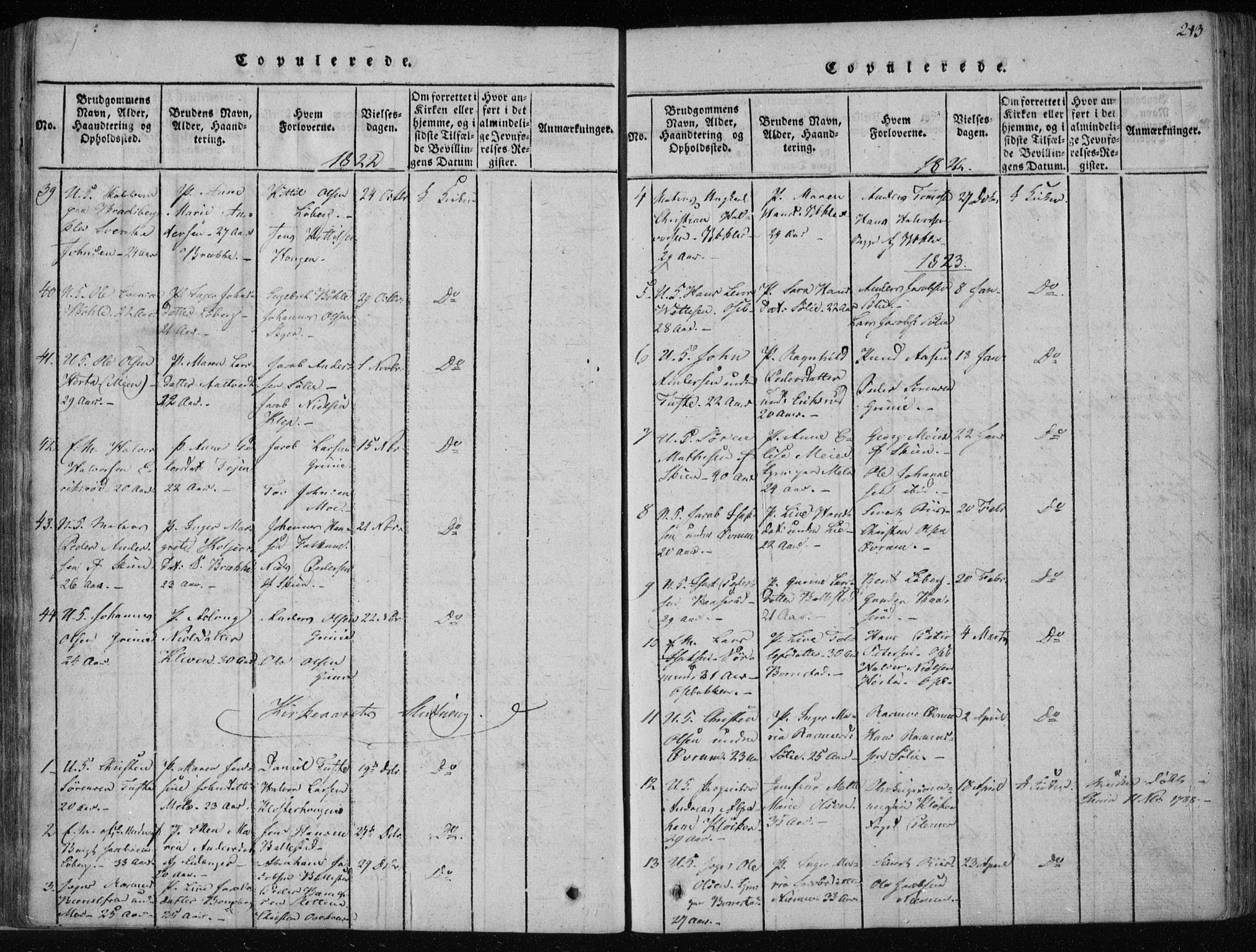Gjerpen kirkebøker, SAKO/A-265/F/Fa/L0004: Parish register (official) no. I 4, 1814-1823, p. 213