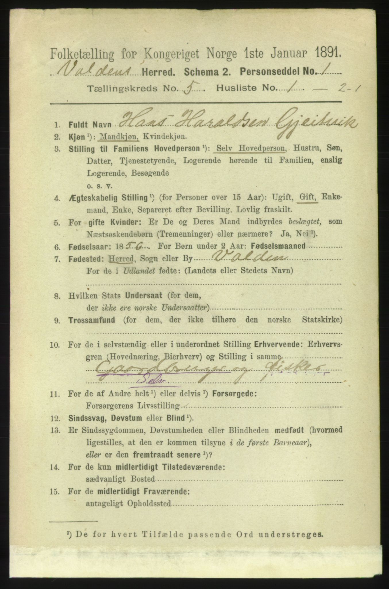 RA, 1891 census for 1519 Volda, 1891, p. 2295