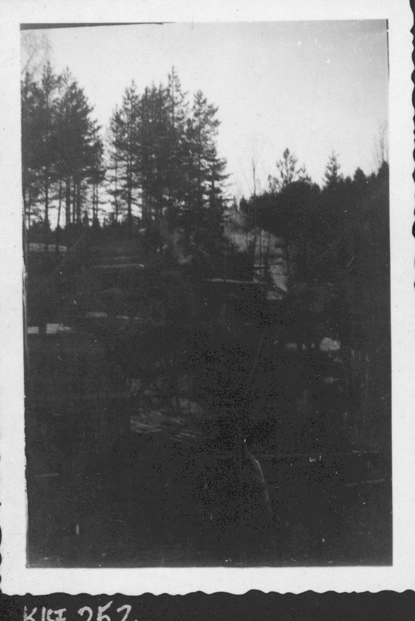Pa 1532 - AS Kistefos Træsliberi, VEMU/A-2805/U/L0001: Foto, 1978